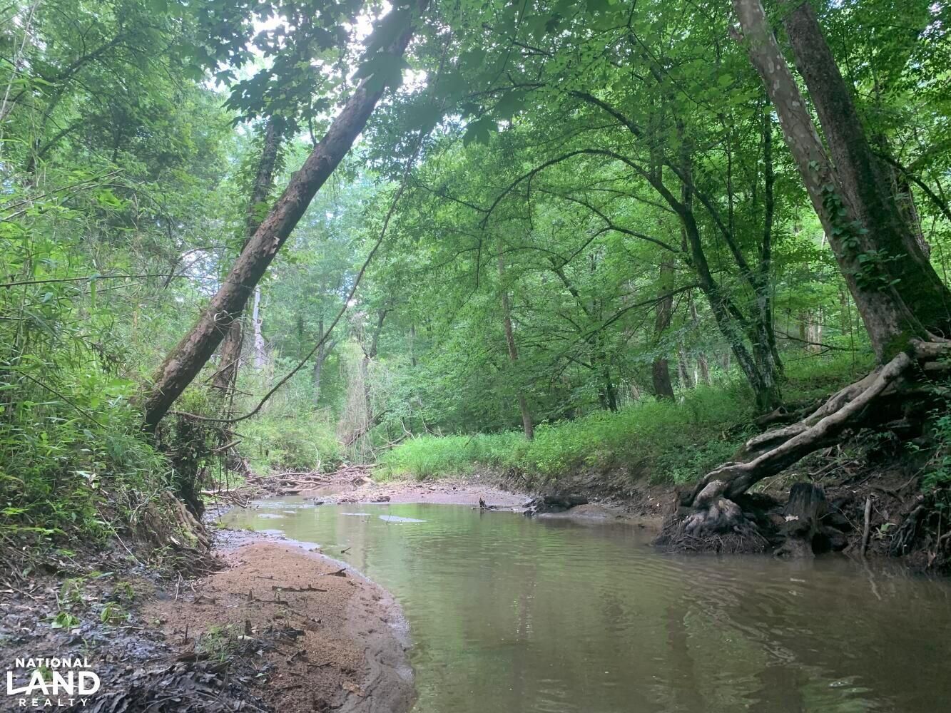 Chester, Chester County, SC Recreational Property, Undeveloped Land
