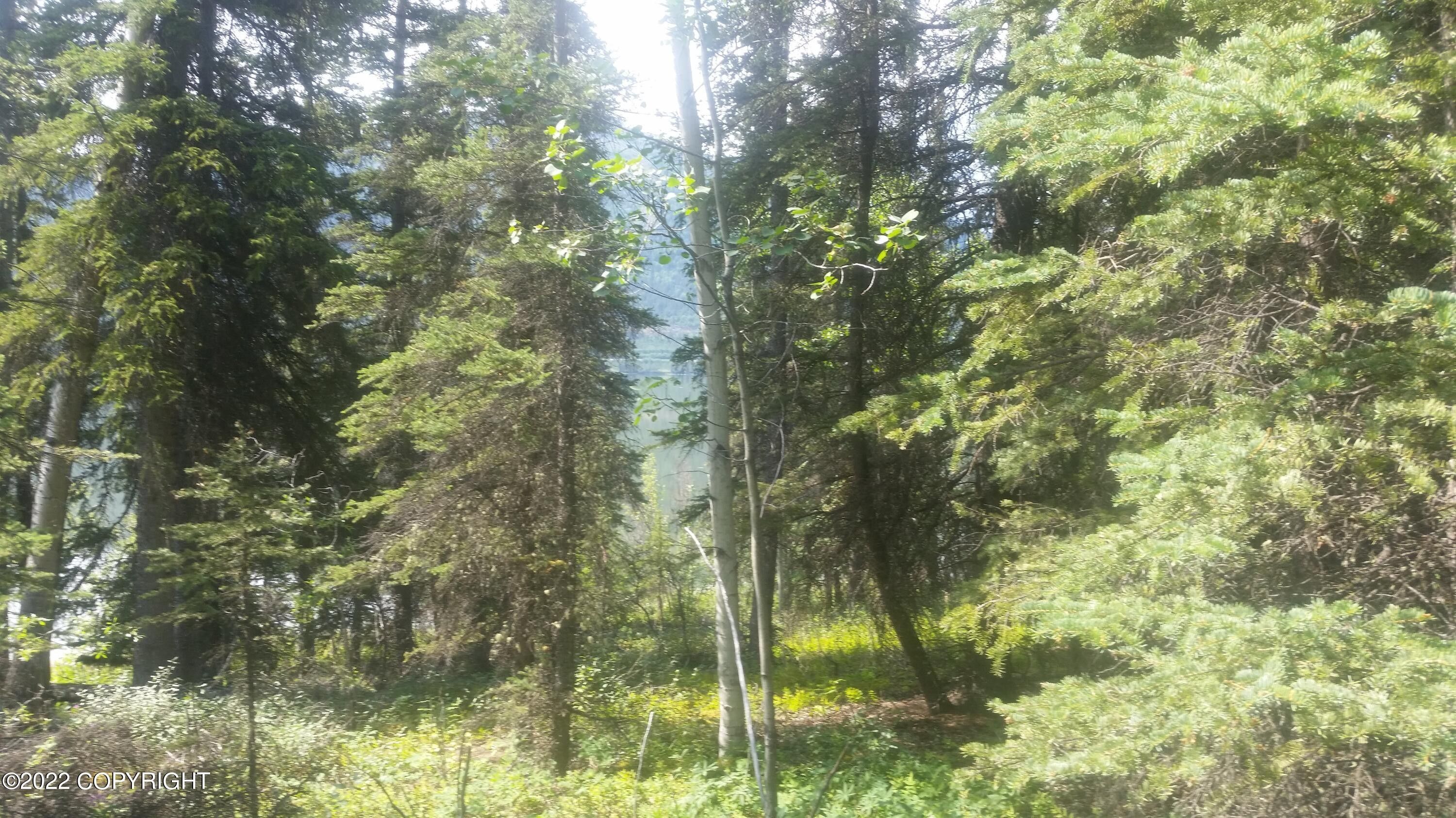 Chitina, ValdezCordova Borough, AK Undeveloped Land, Homesites for