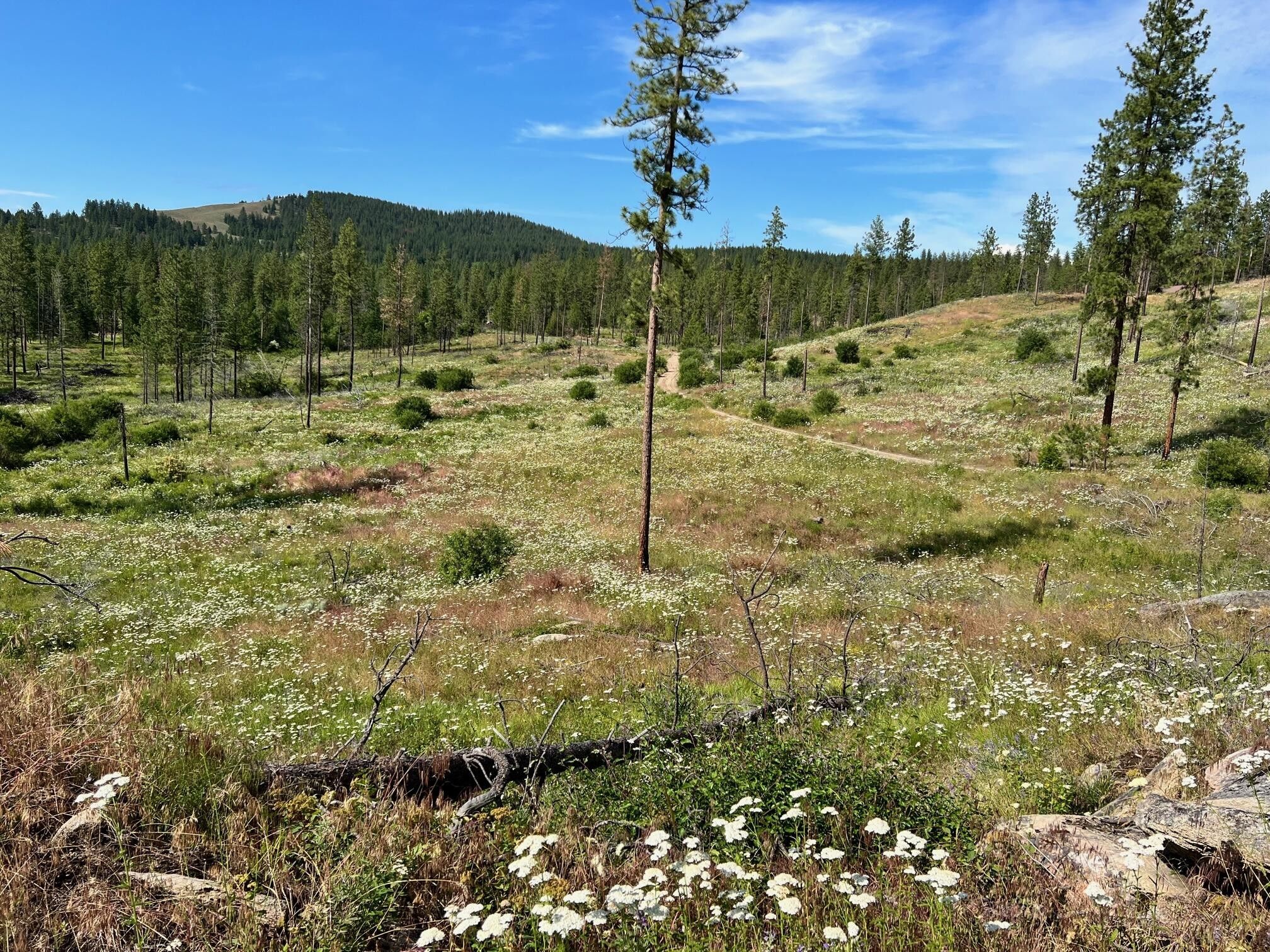Fruitland, Stevens County, WA Undeveloped Land, Homesites for sale