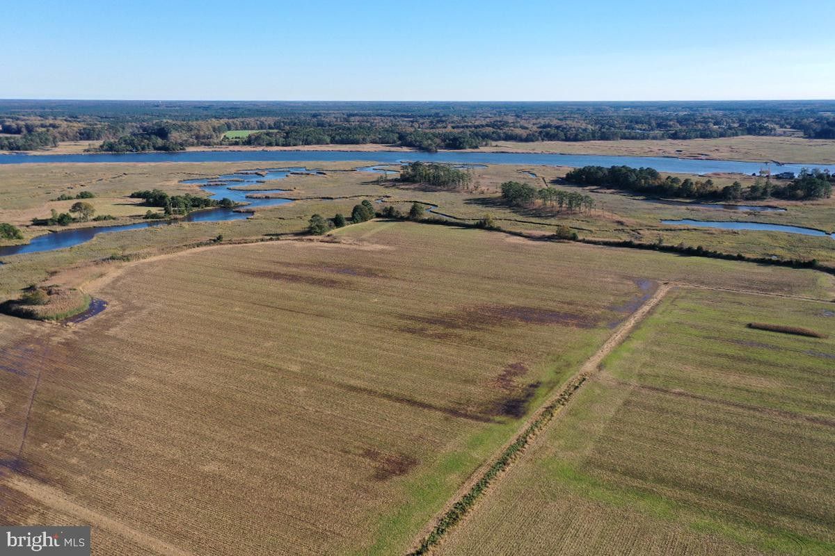Tyaskin, County, MD Undeveloped Land, Lakefront Property