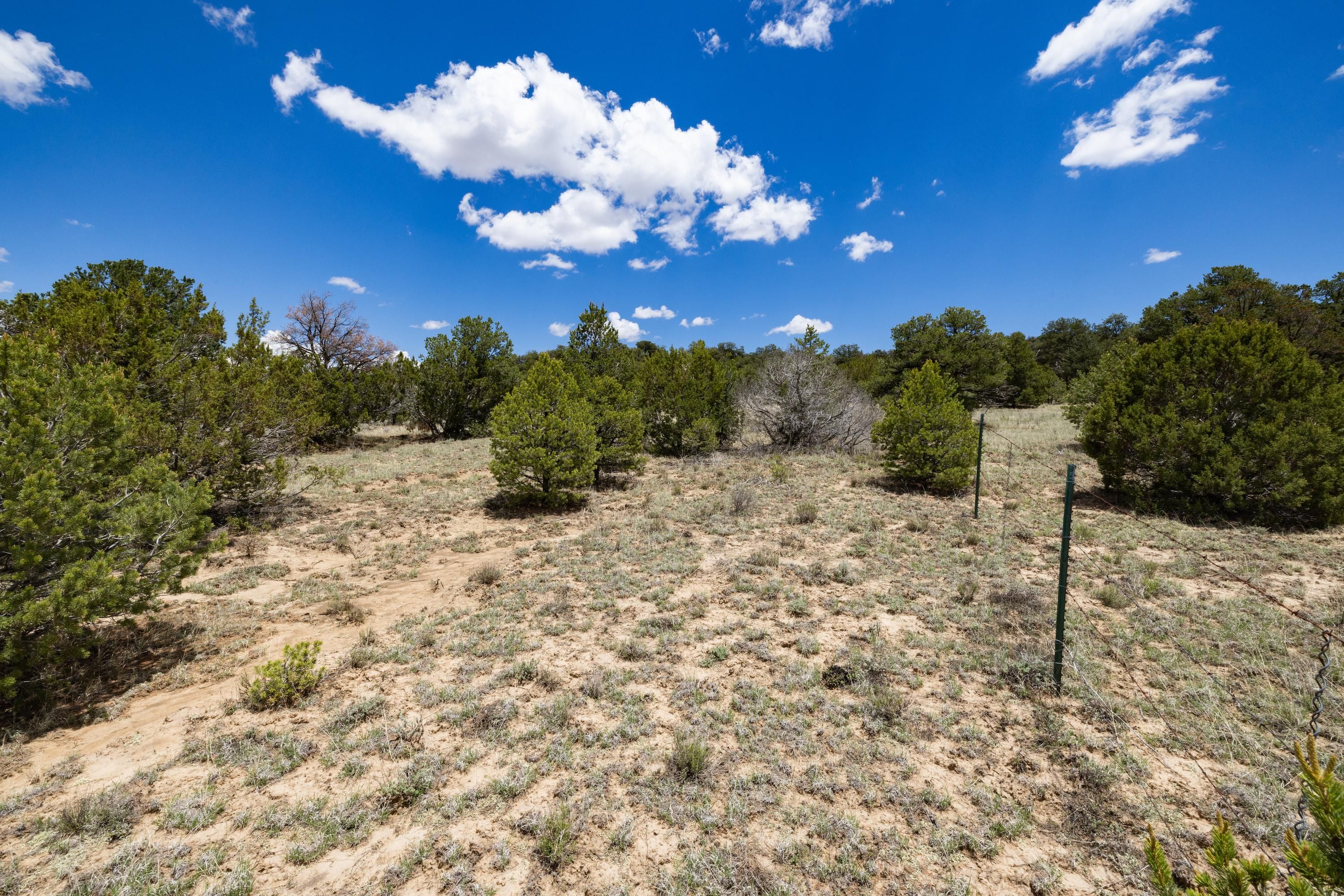 Ramah, Cibola County, NM Recreational Property, Undeveloped Land for