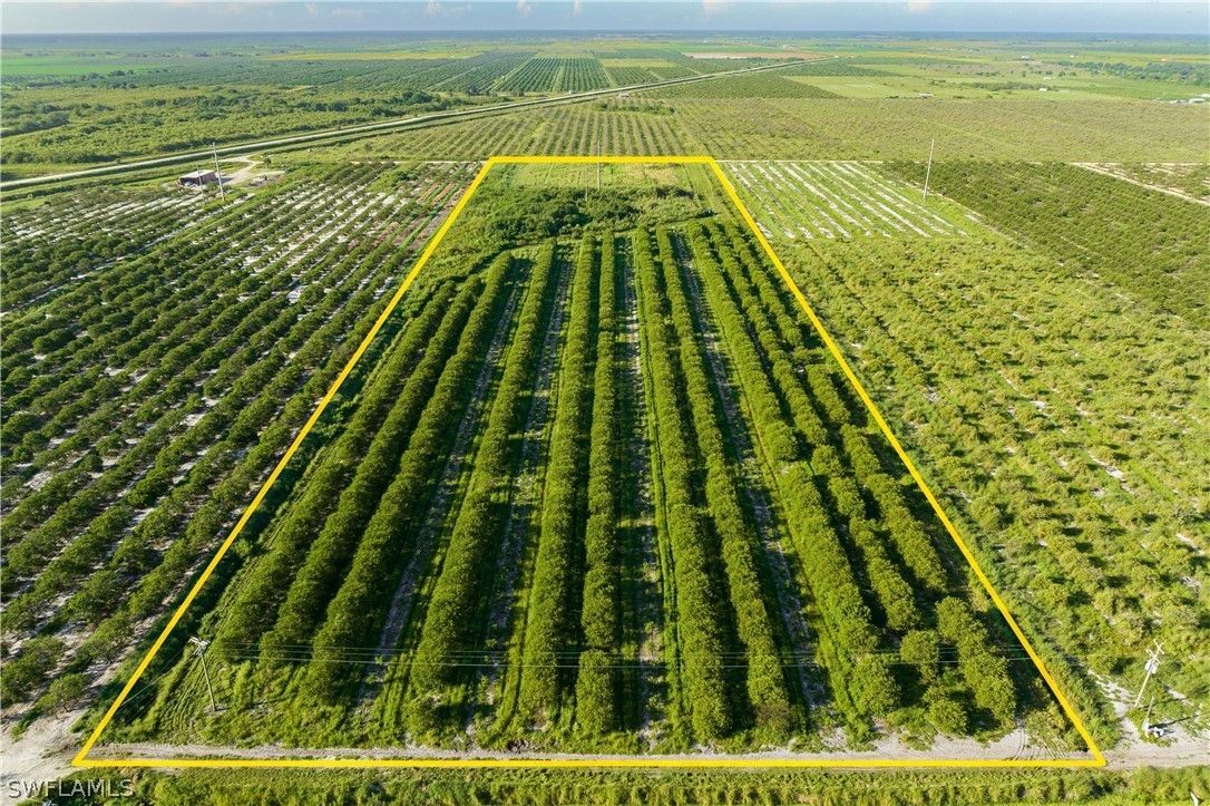 Labelle, Hendry County, FL Undeveloped Land, Lakefront Property