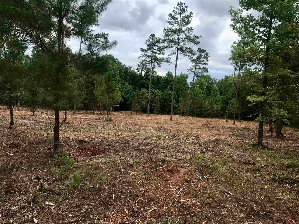 Macon, Bibb County, GA Undeveloped Land for sale Property ID 414174578