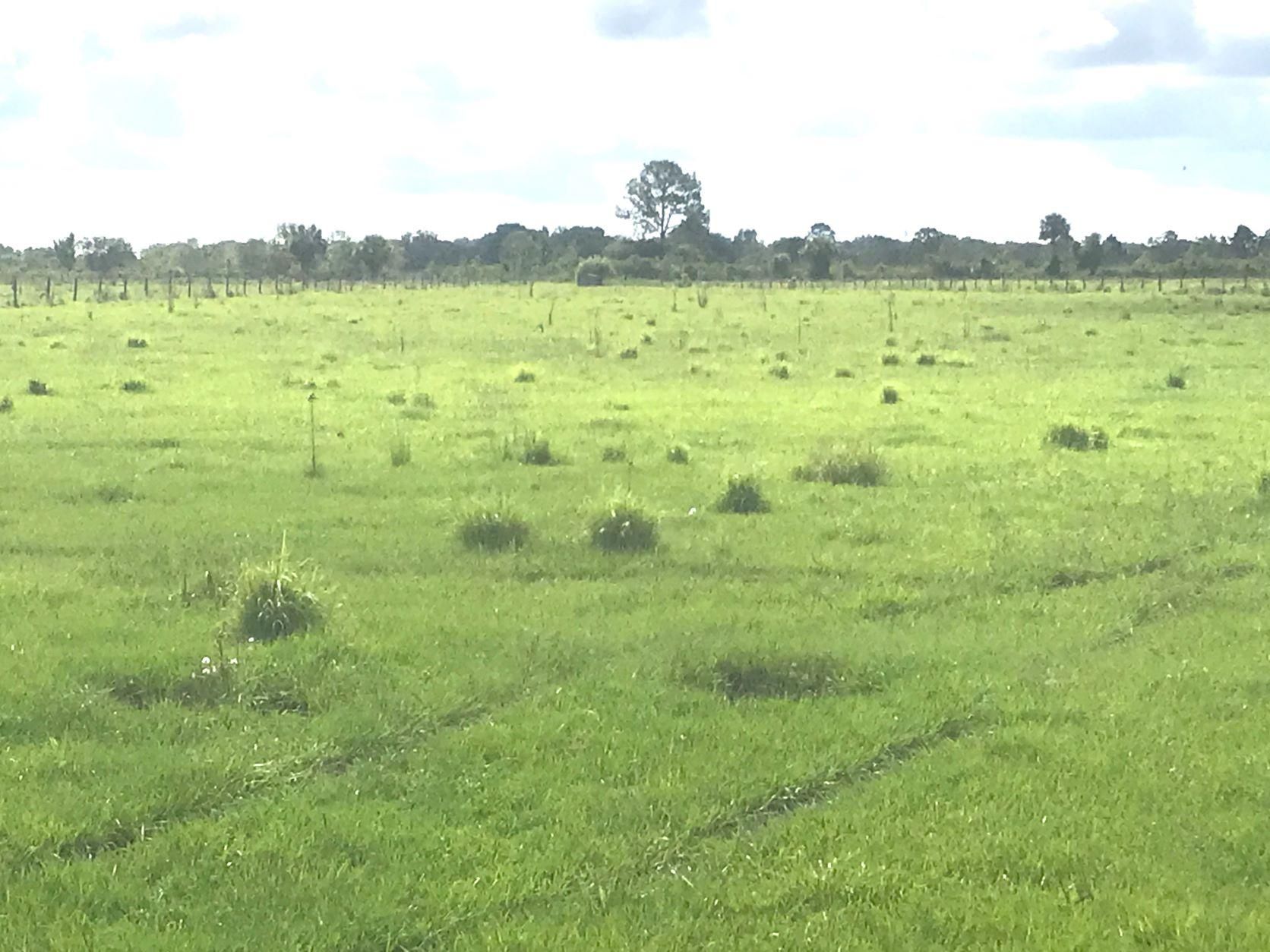 Okeechobee, Okeechobee County, FL Farms and Ranches, Recreational