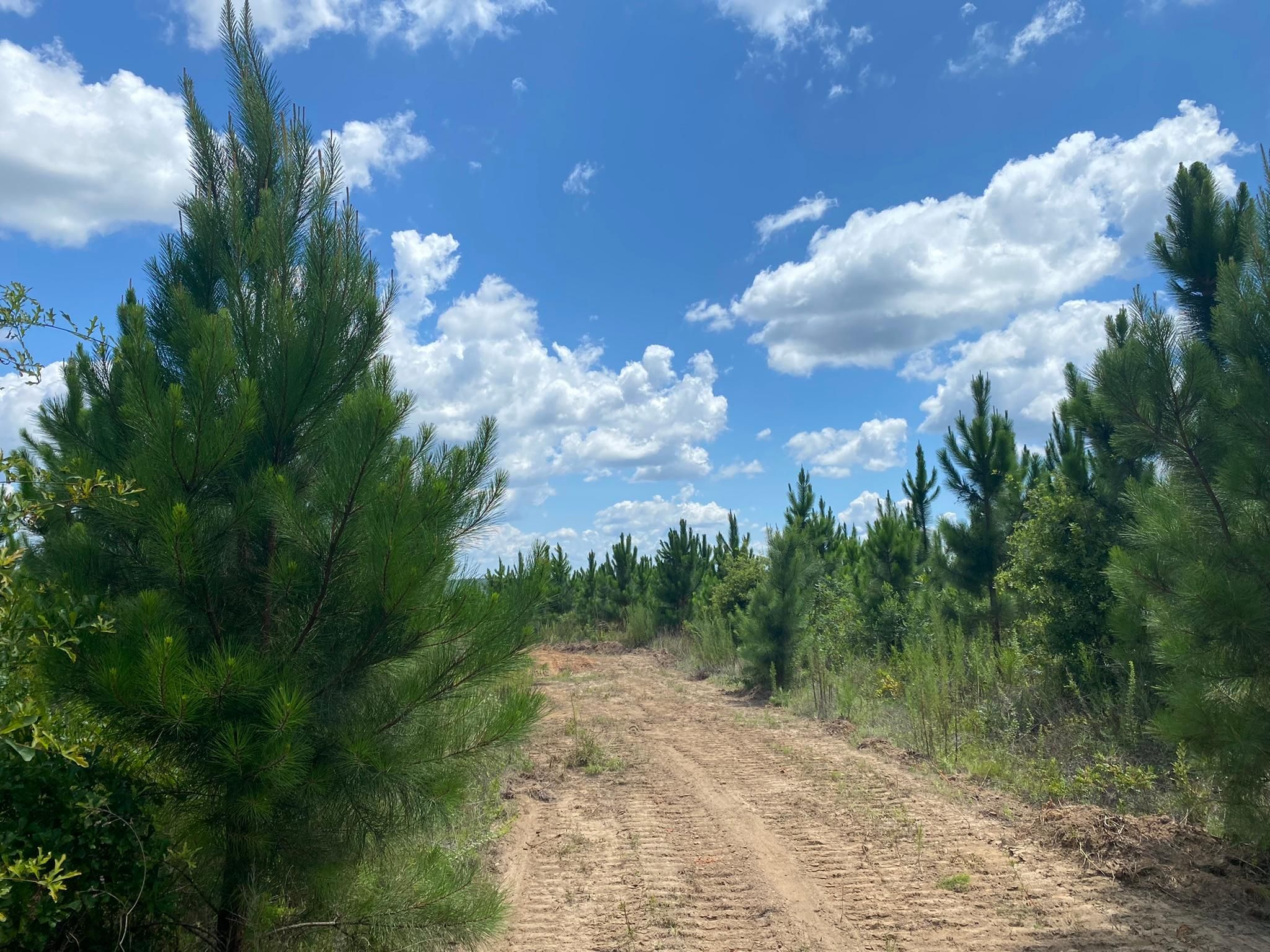 Fort Gaines, Clay County, GA Recreational Property, Timberland Property