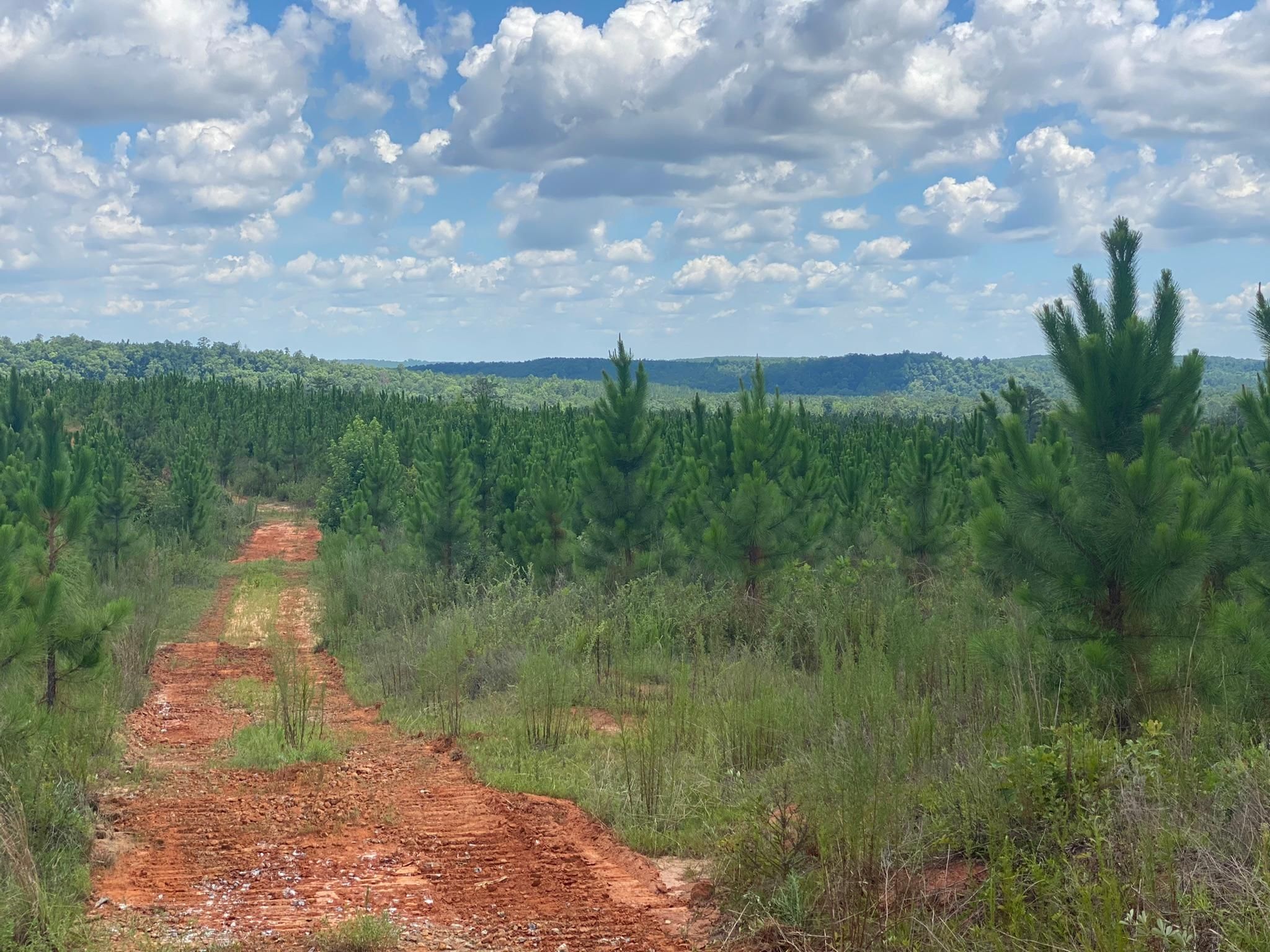 Fort Gaines, Clay County, GA Recreational Property, Undeveloped Land