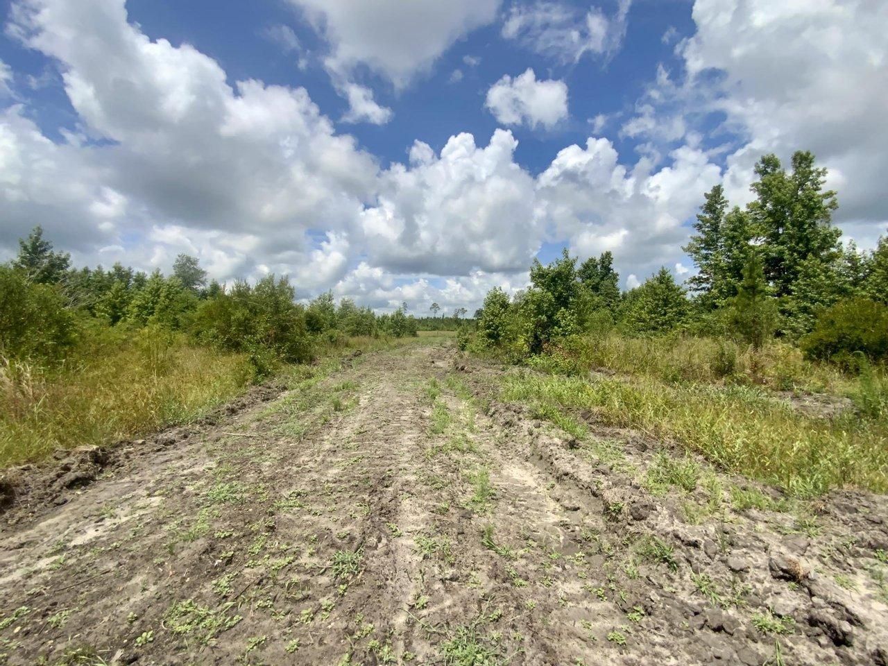 Rhine, Dodge County, GA Recreational Property, Hunting Property for