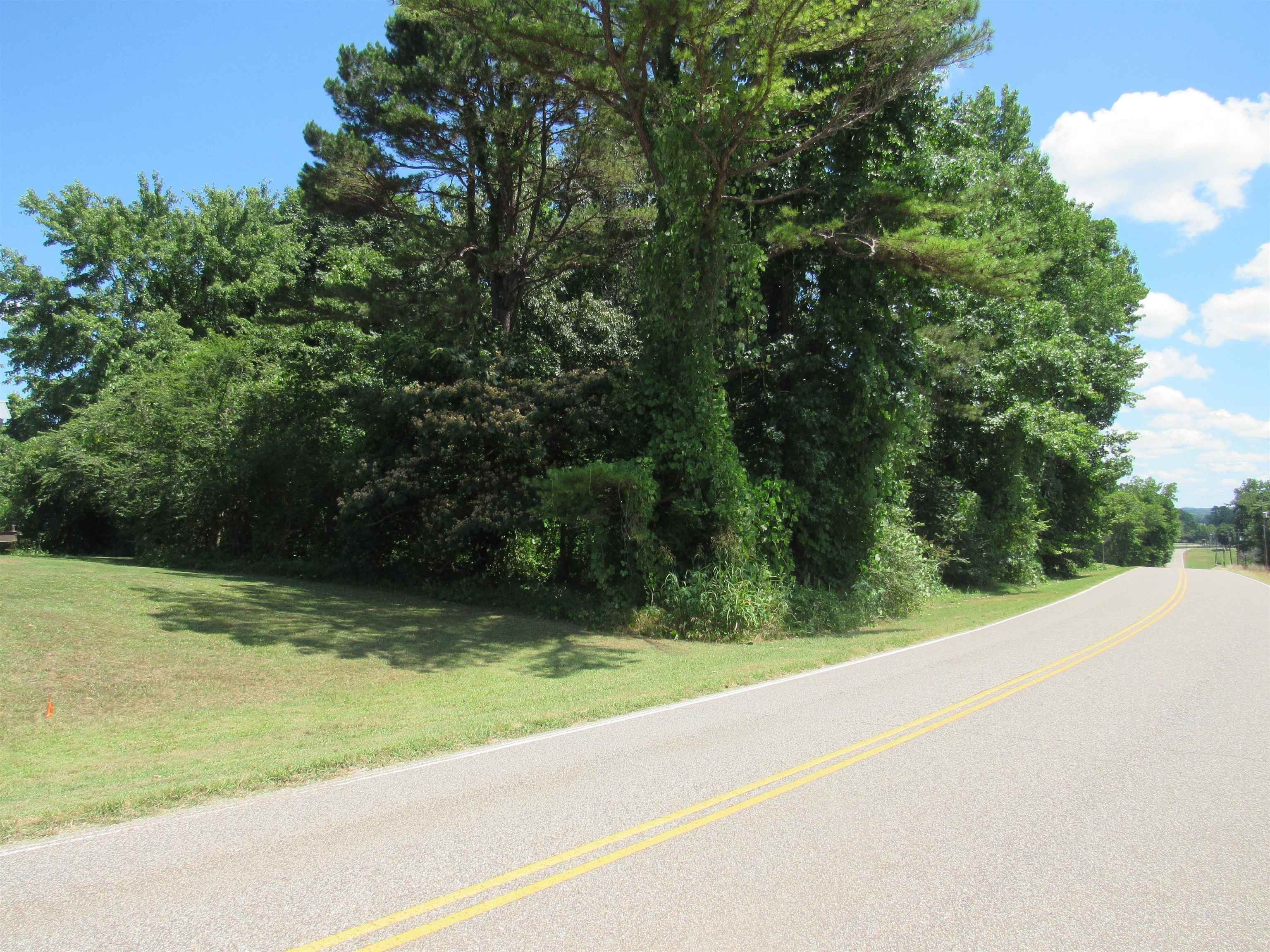Beech Bluff, Madison County, TN Undeveloped Land, Homesites for sale
