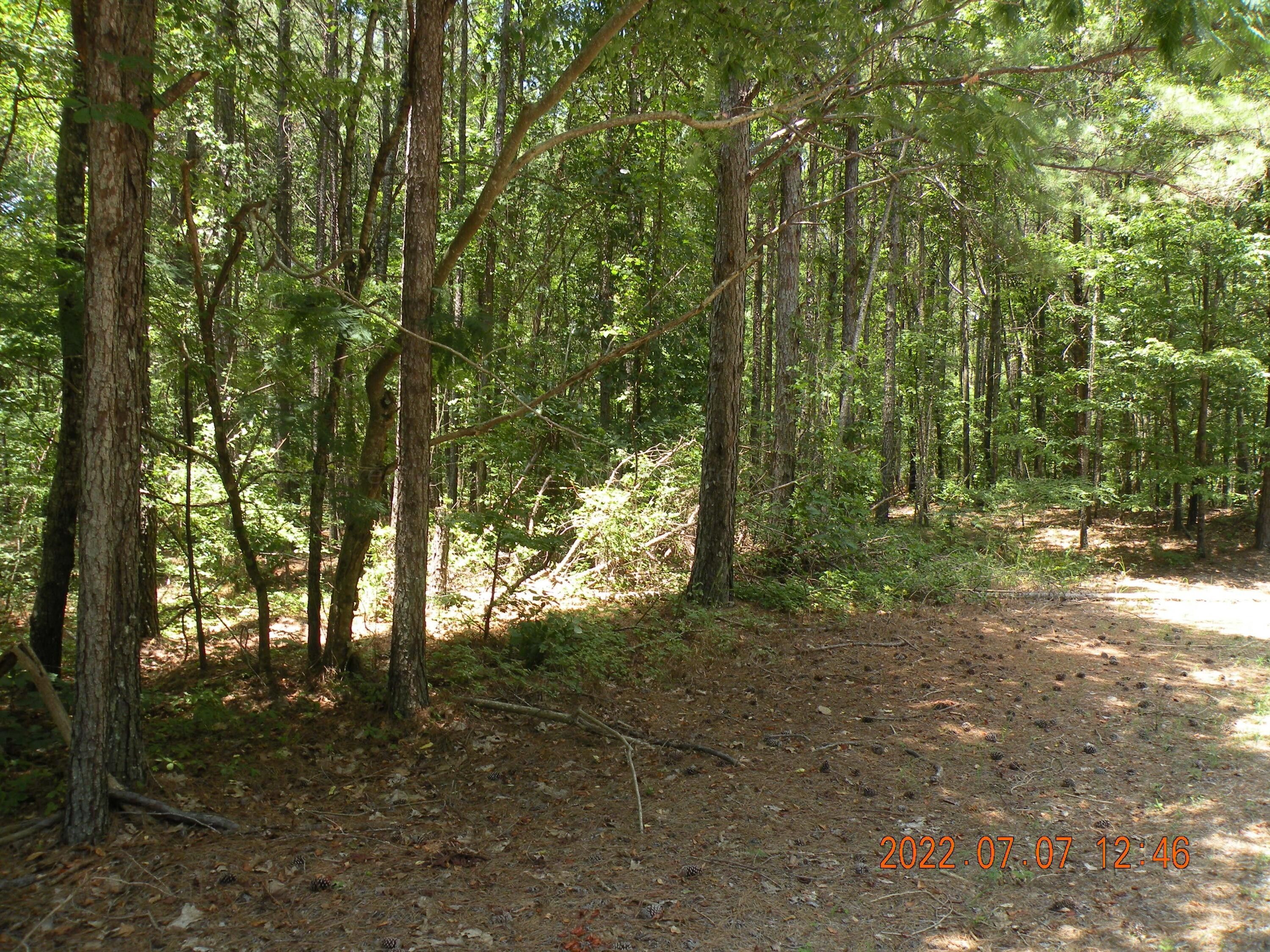 Jasper, Walker County, AL Undeveloped Land for sale Property ID