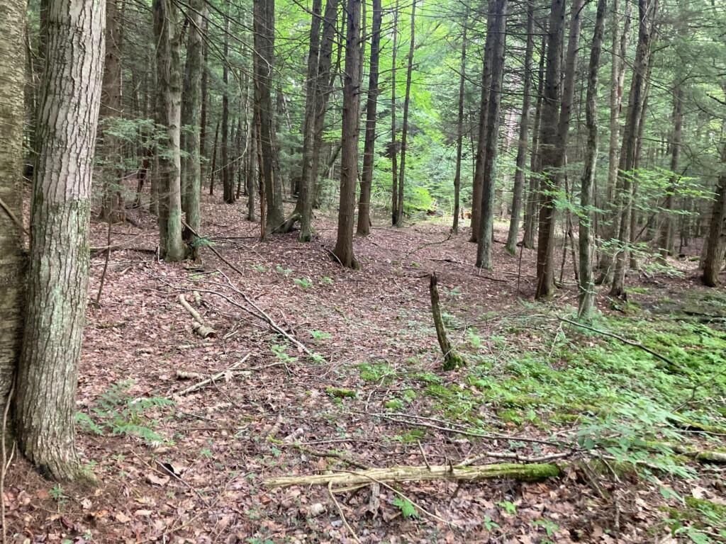 Maine, Broome County, NY Recreational Property, Hunting Property for