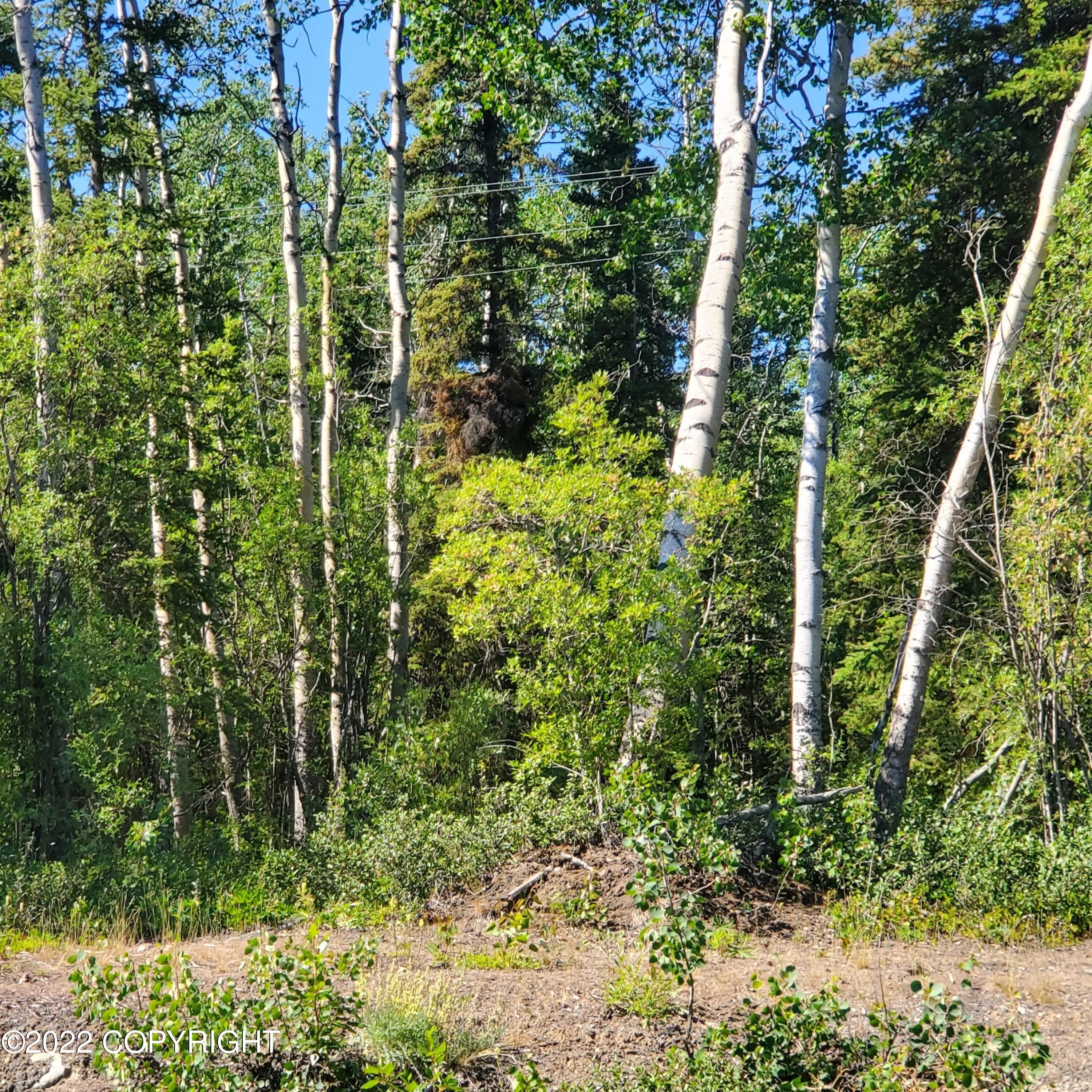 Copper Center, ValdezCordova Borough, AK Undeveloped Land, Homesites