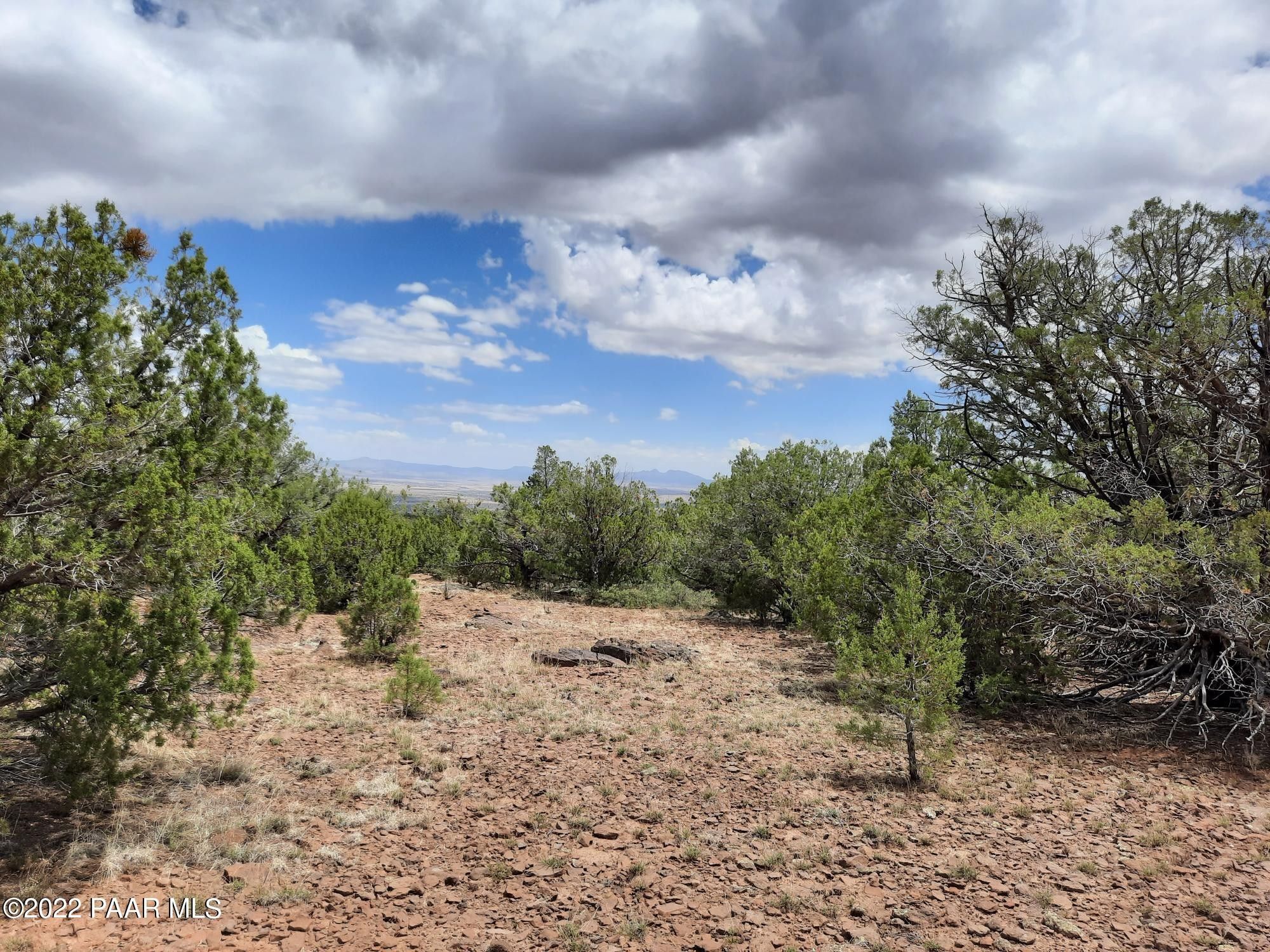 Seligman, Yavapai County, AZ Undeveloped Land for sale Property ID