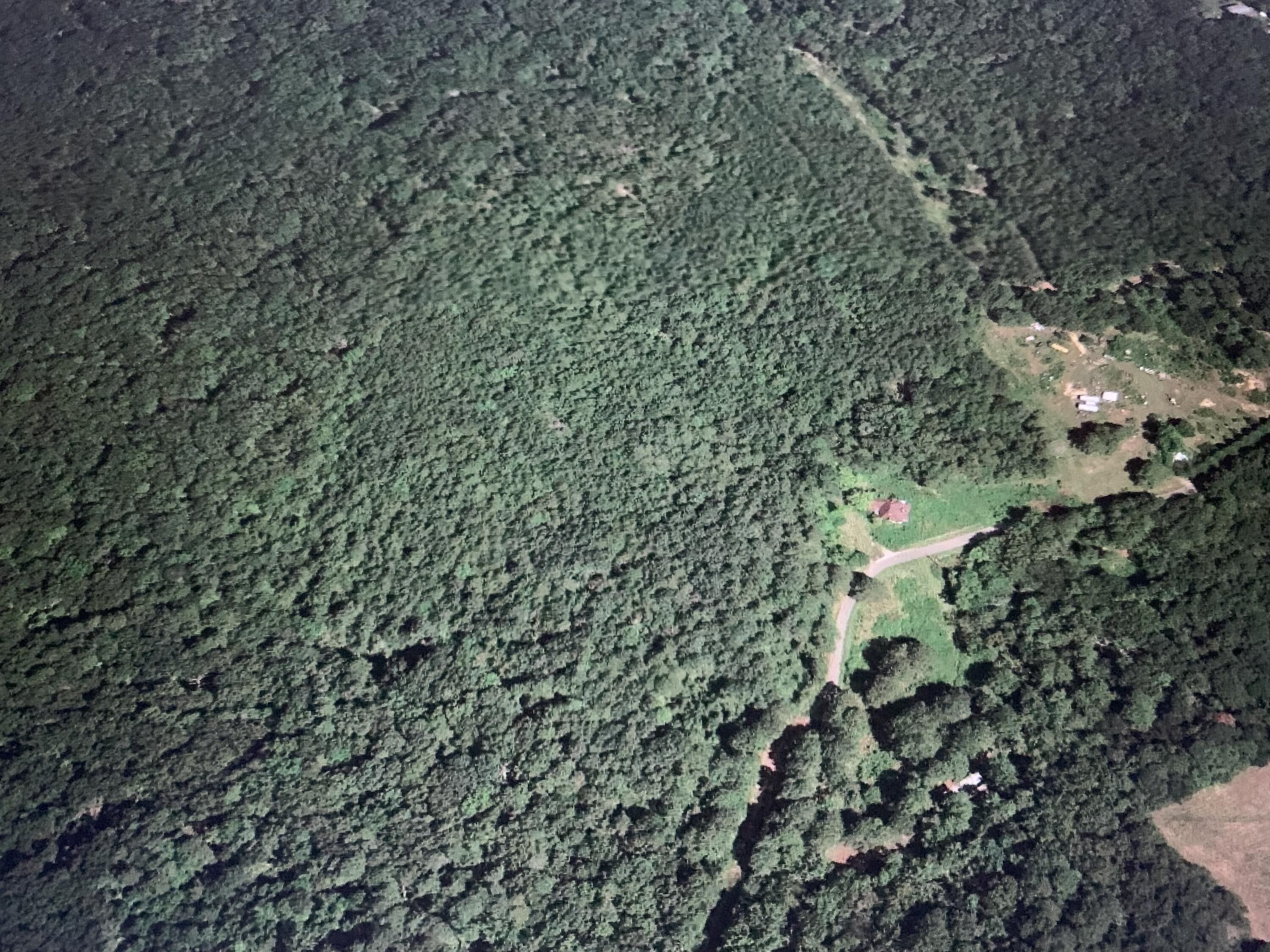 Summerville, Chattooga County, GA Farms and Ranches for sale Property ID 414186109 LandWatch