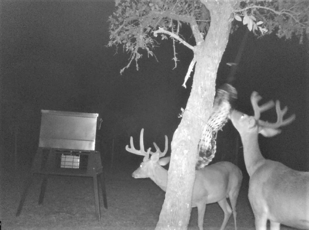 Rocksprings, Edwards County, TX Recreational Property, Hunting Property