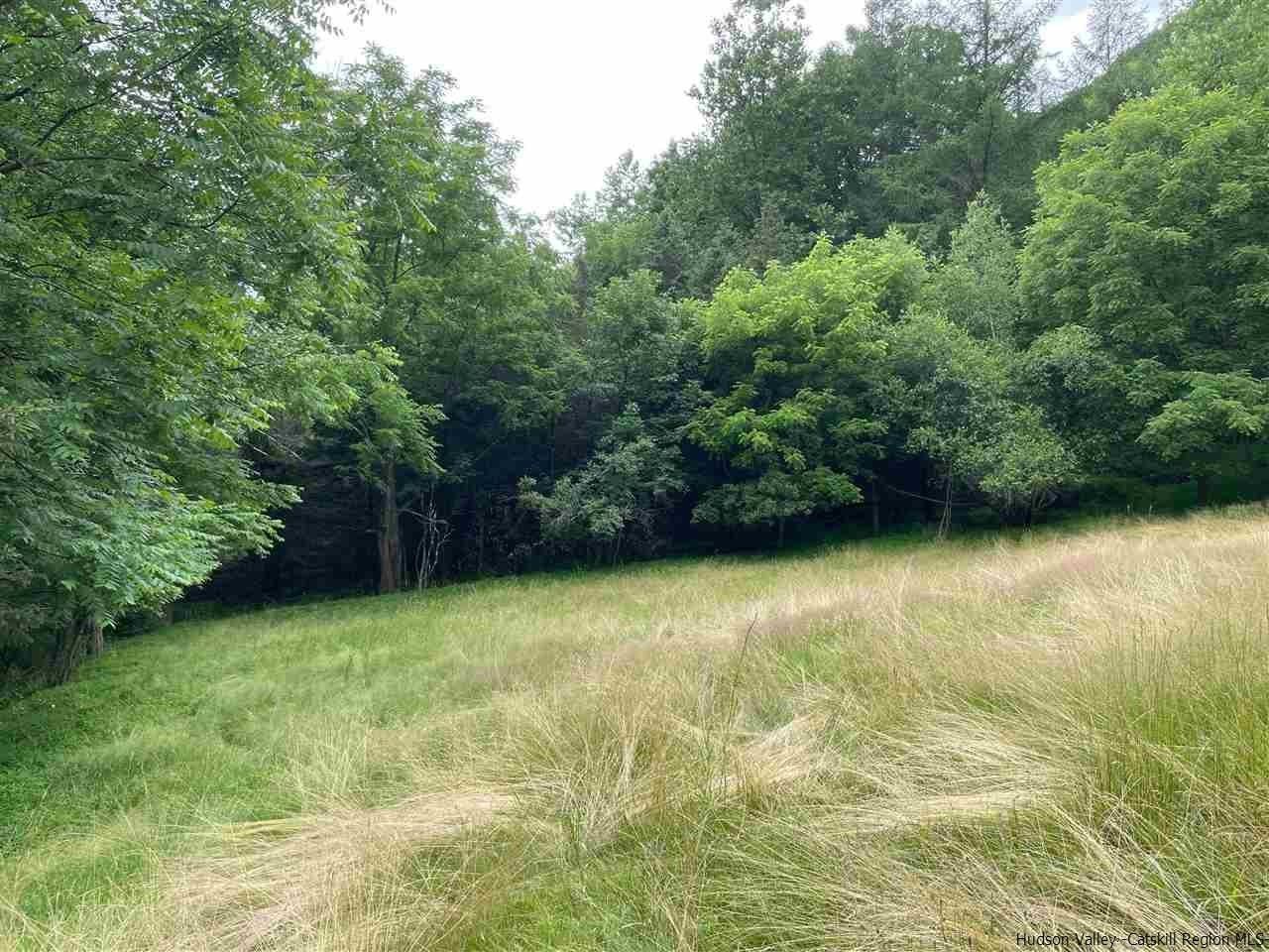 Wurtsboro, Sullivan County, NY Undeveloped Land for sale Property ID