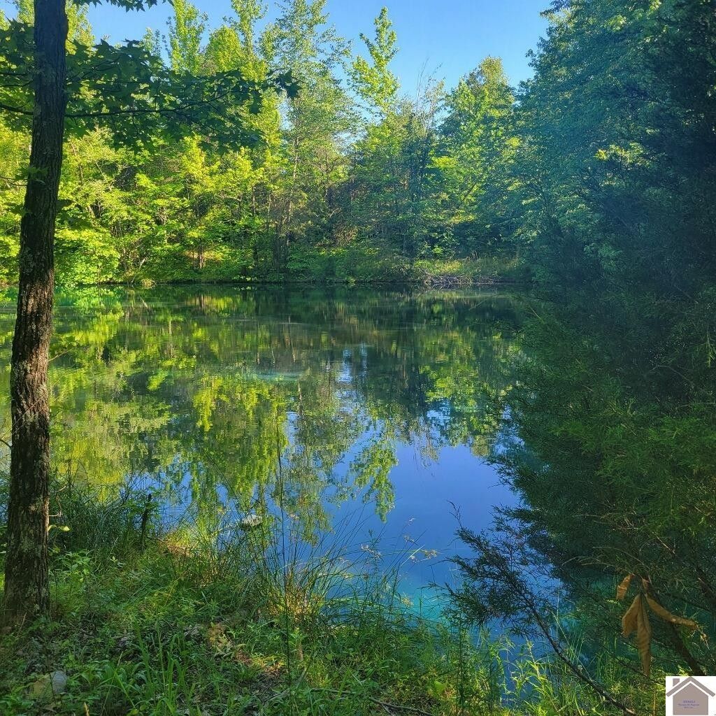 Dawson Springs, Hopkins County, KY Undeveloped Land for sale Property ID 413560761 LandWatch