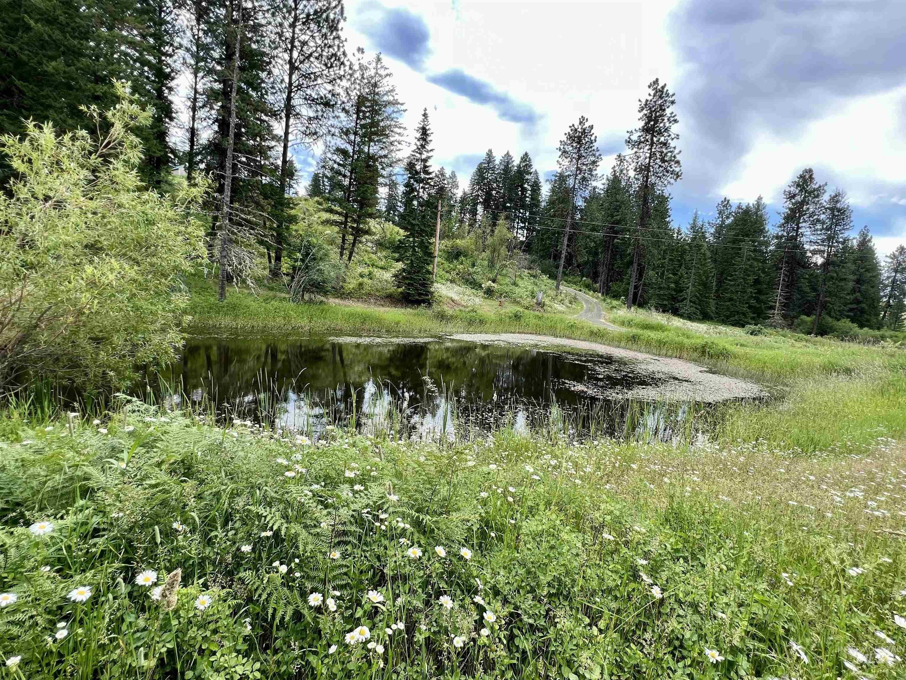 Kooskia, Idaho County, ID House for sale Property ID 414190812 LandWatch