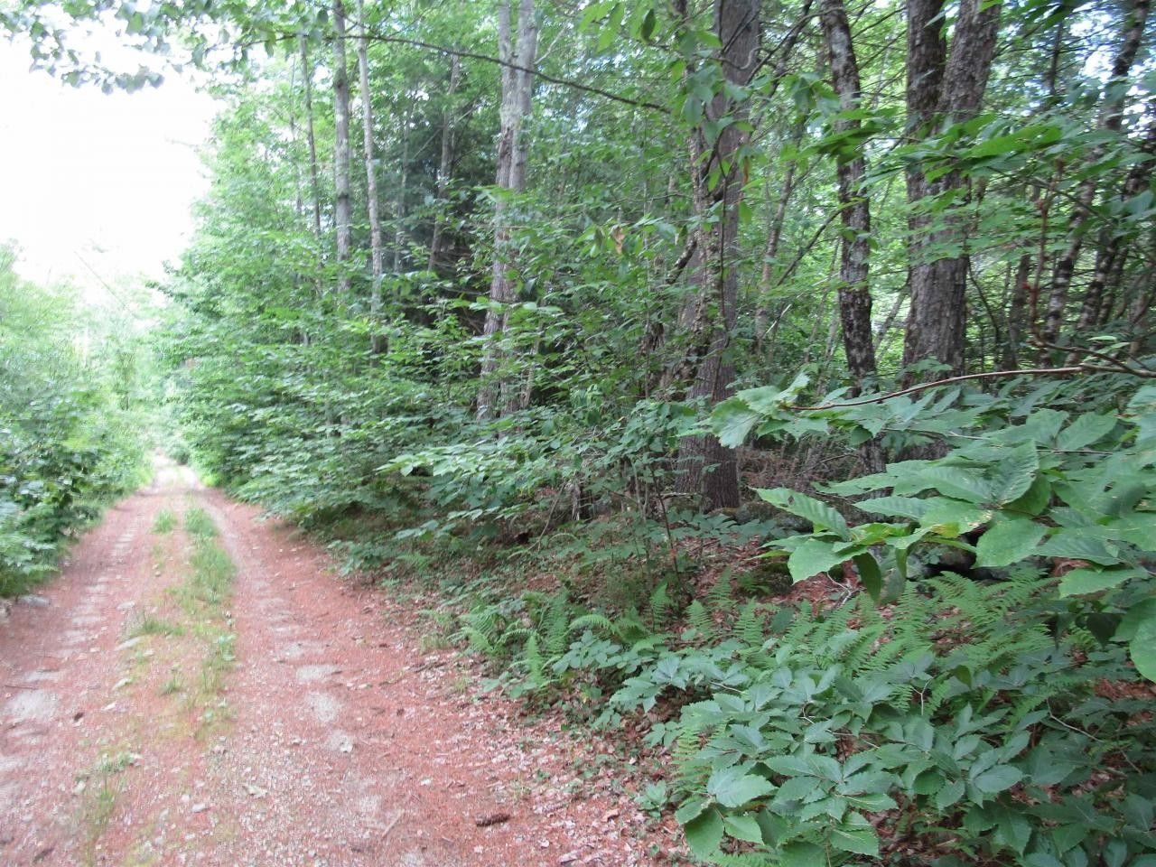 Antrim, Hillsborough County, NH Undeveloped Land for sale Property ID