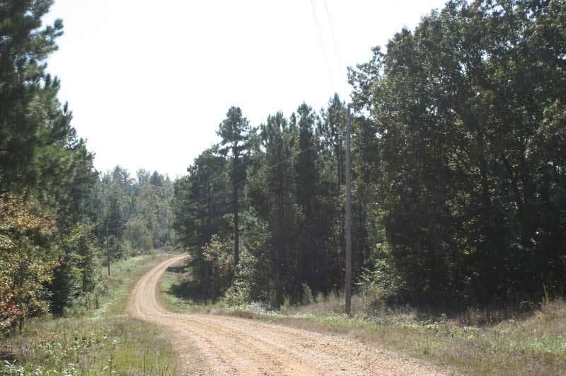 Wildersville, Henderson County, TN Undeveloped Land, Homesites for sale