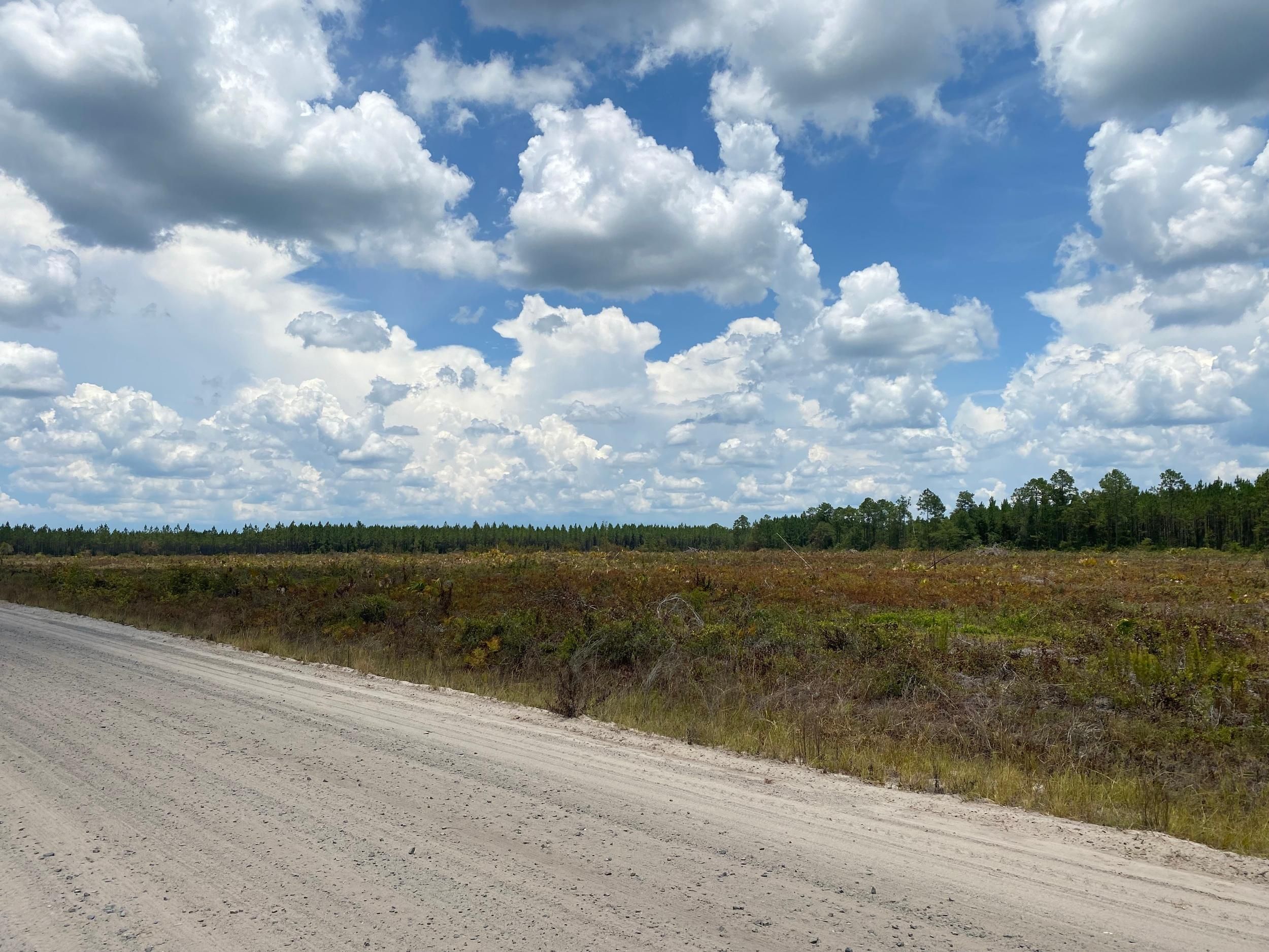 Nahunta, Brantley County, GA Recreational Property, Timberland Property