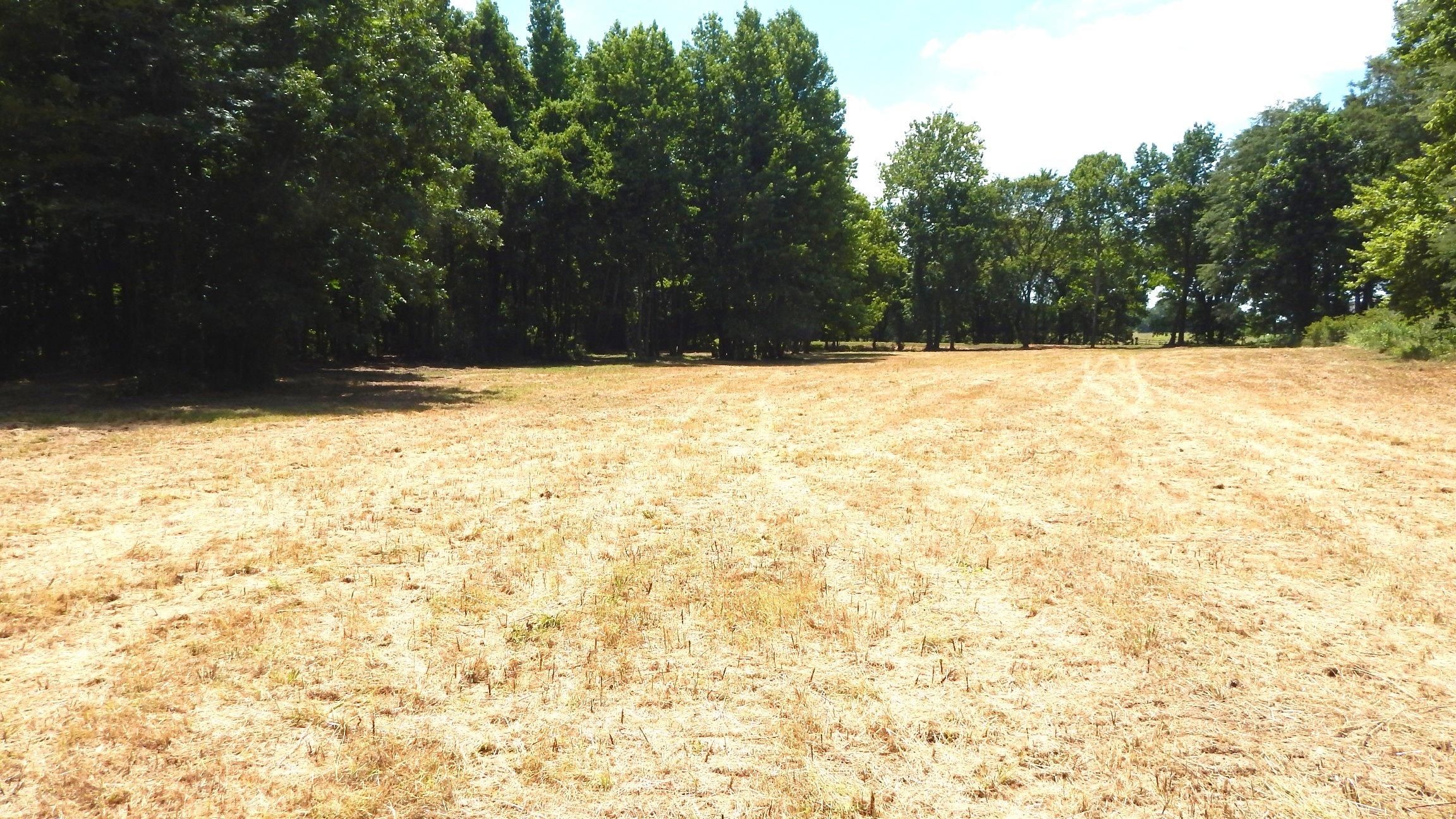 Nesbit, DeSoto County, MS Recreational Property, Timberland Property for sale Property ID