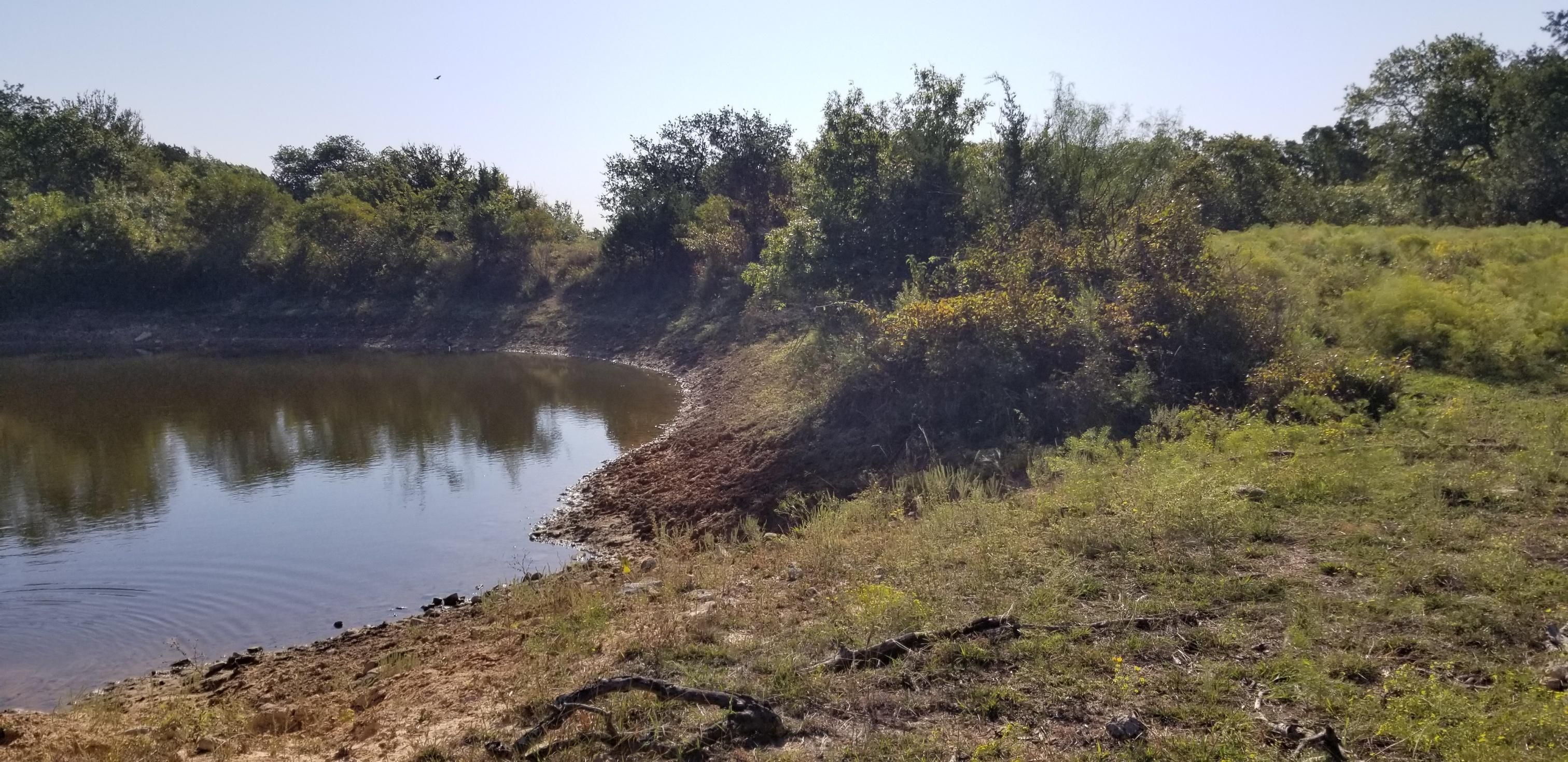 10.55 acres in Desdemona, TX, 76445 LandWatch