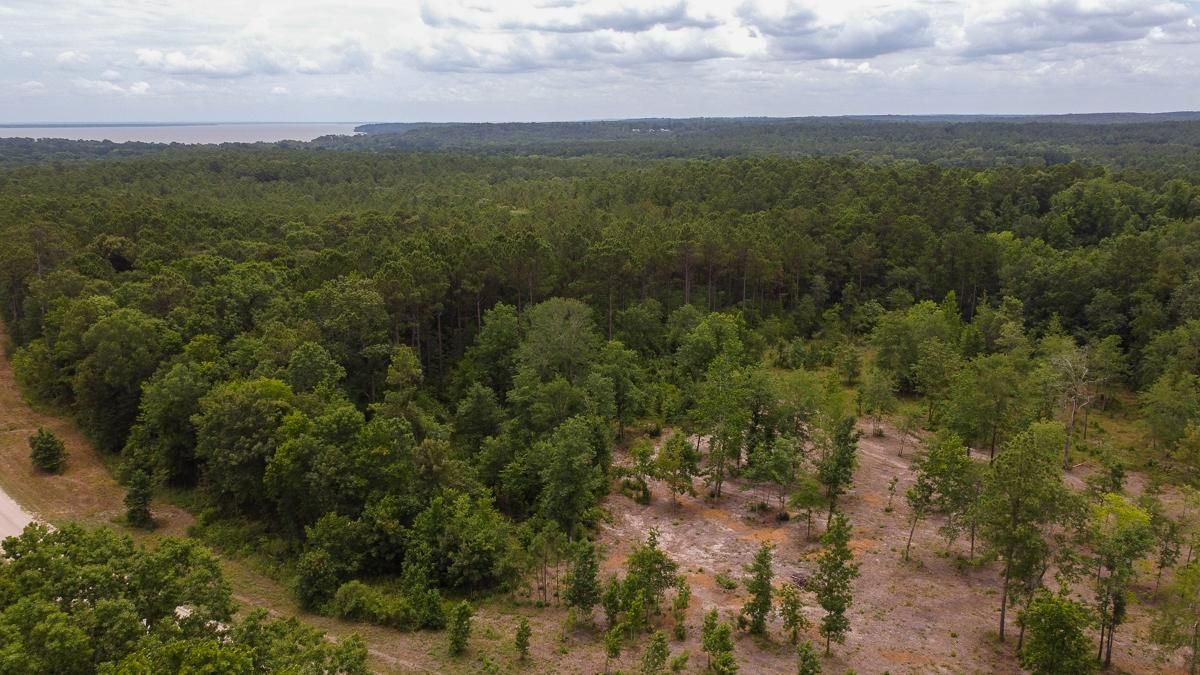 Felix Currie Road, Point Blank, TX 77364 LandWatch