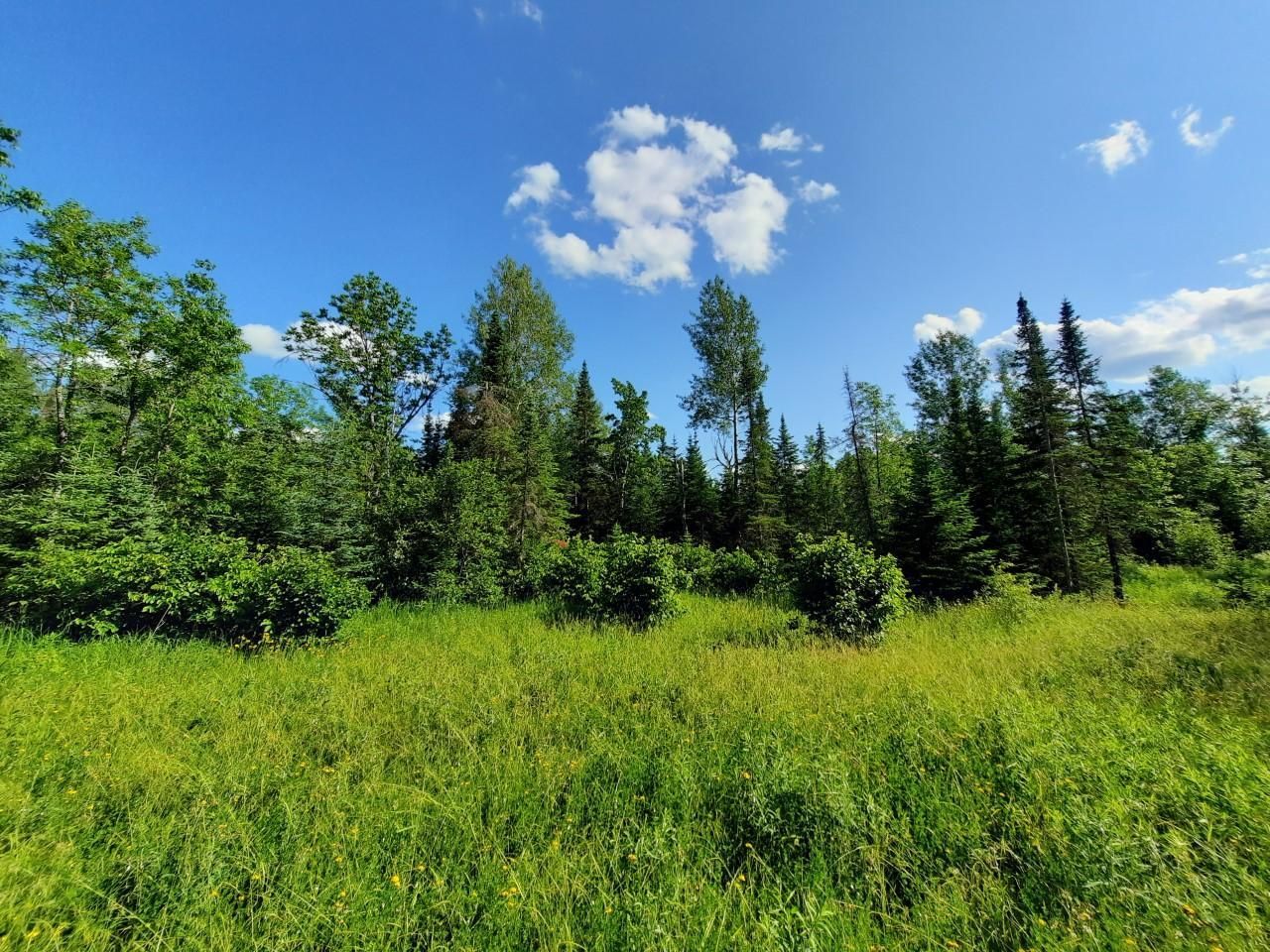 Holyoke, Carlton County, MN Undeveloped Land for sale Property ID