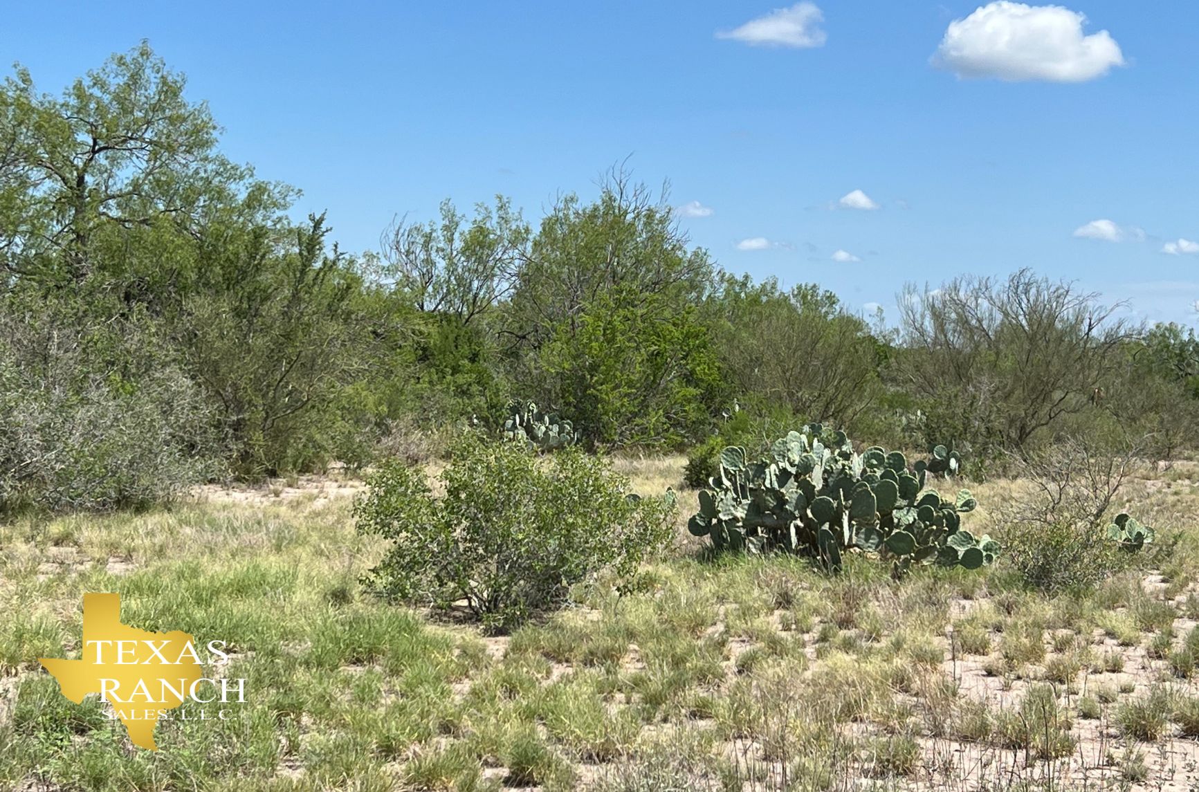 Freer, McMullen County, TX Farms and Ranches, Hunting Property for sale