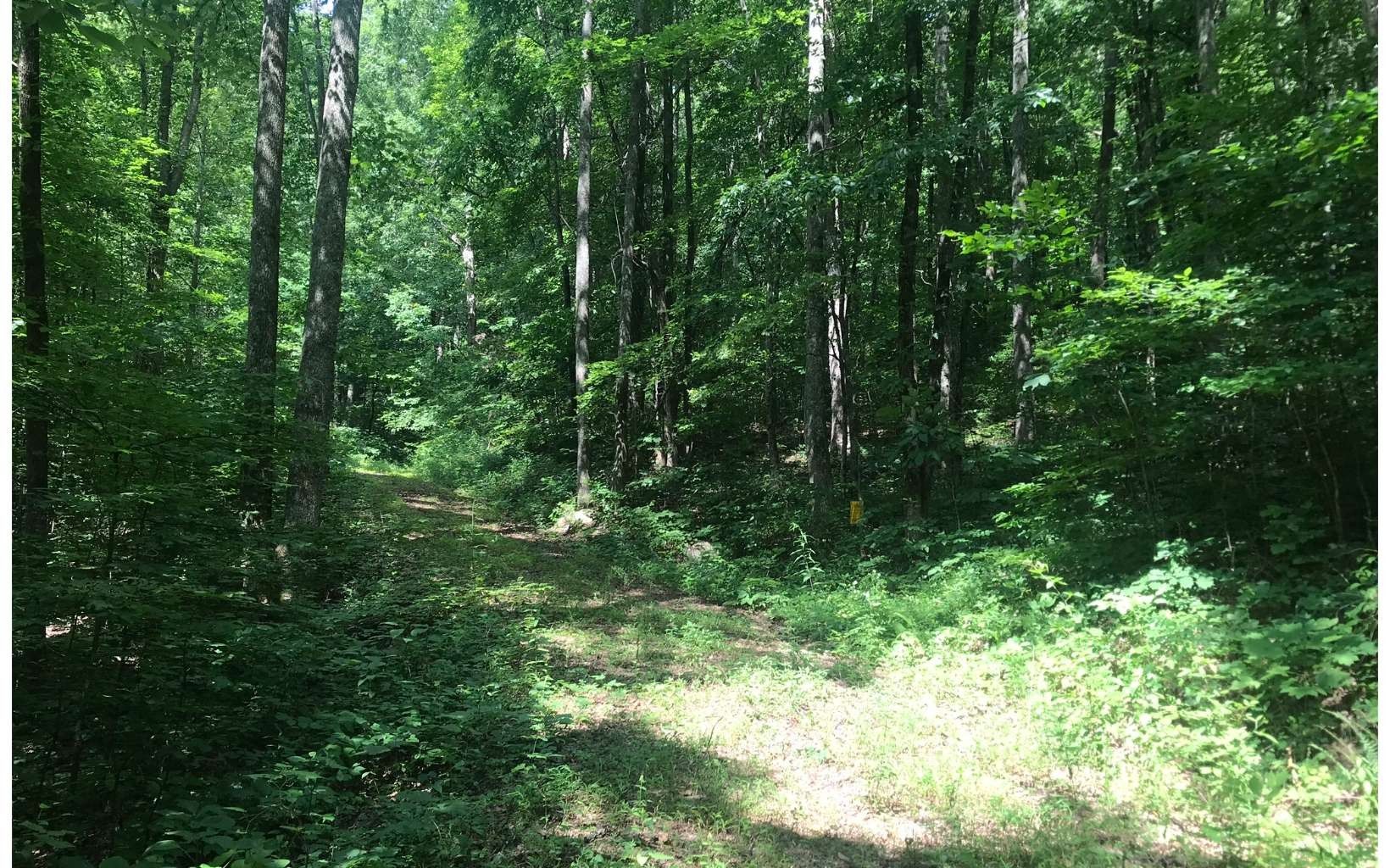 Murphy, Cherokee County, NC Undeveloped Land, Homesites for sale