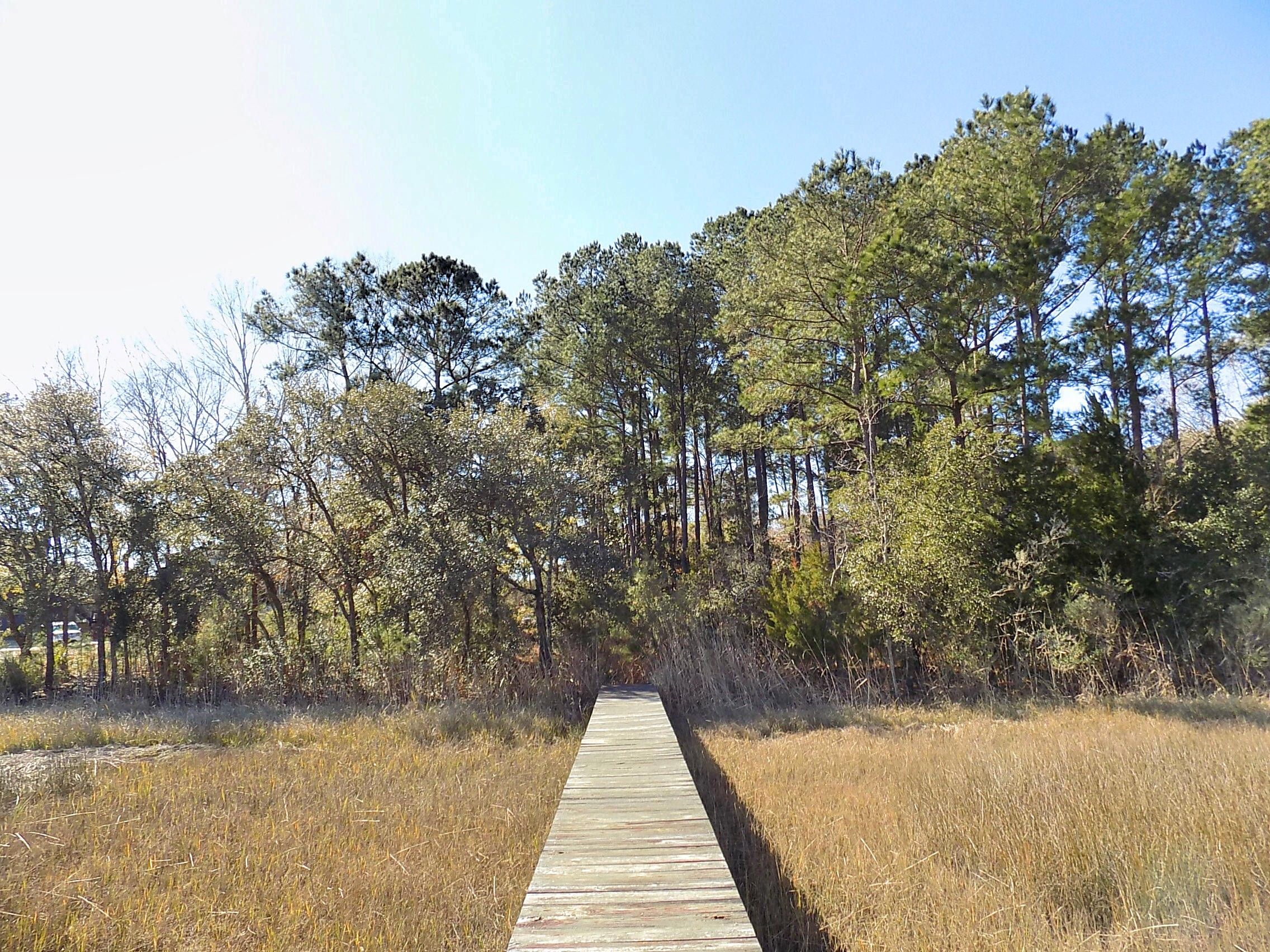 Johns Island, Charleston County, SC Undeveloped Land, Lakefront