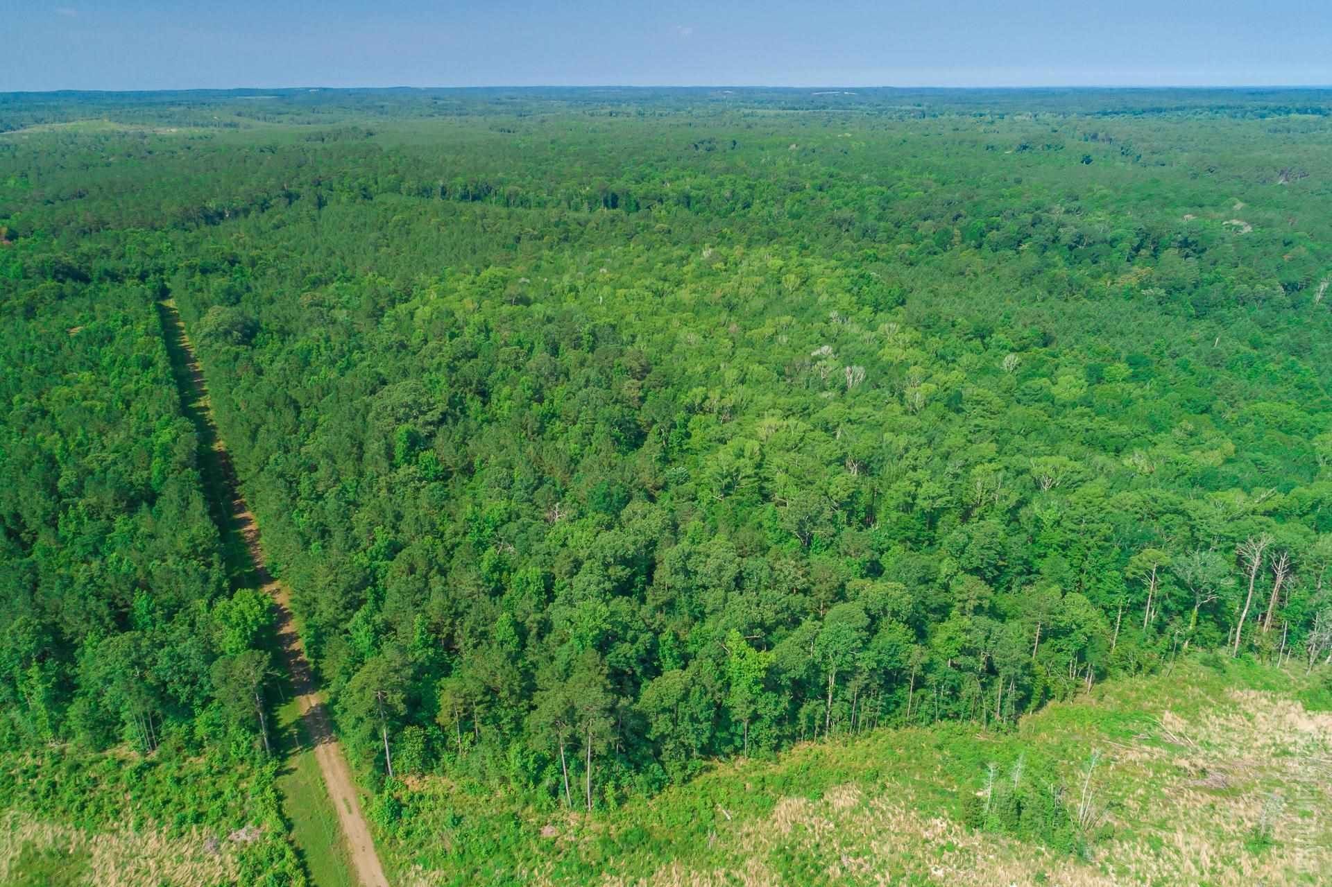 Brookeland, Sabine County, TX Undeveloped Land for sale Property ID 414202531 LandWatch