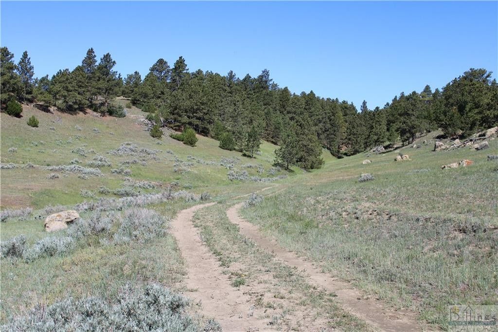 Shawmut, Wheatland County, MT Undeveloped Land for sale Property ID