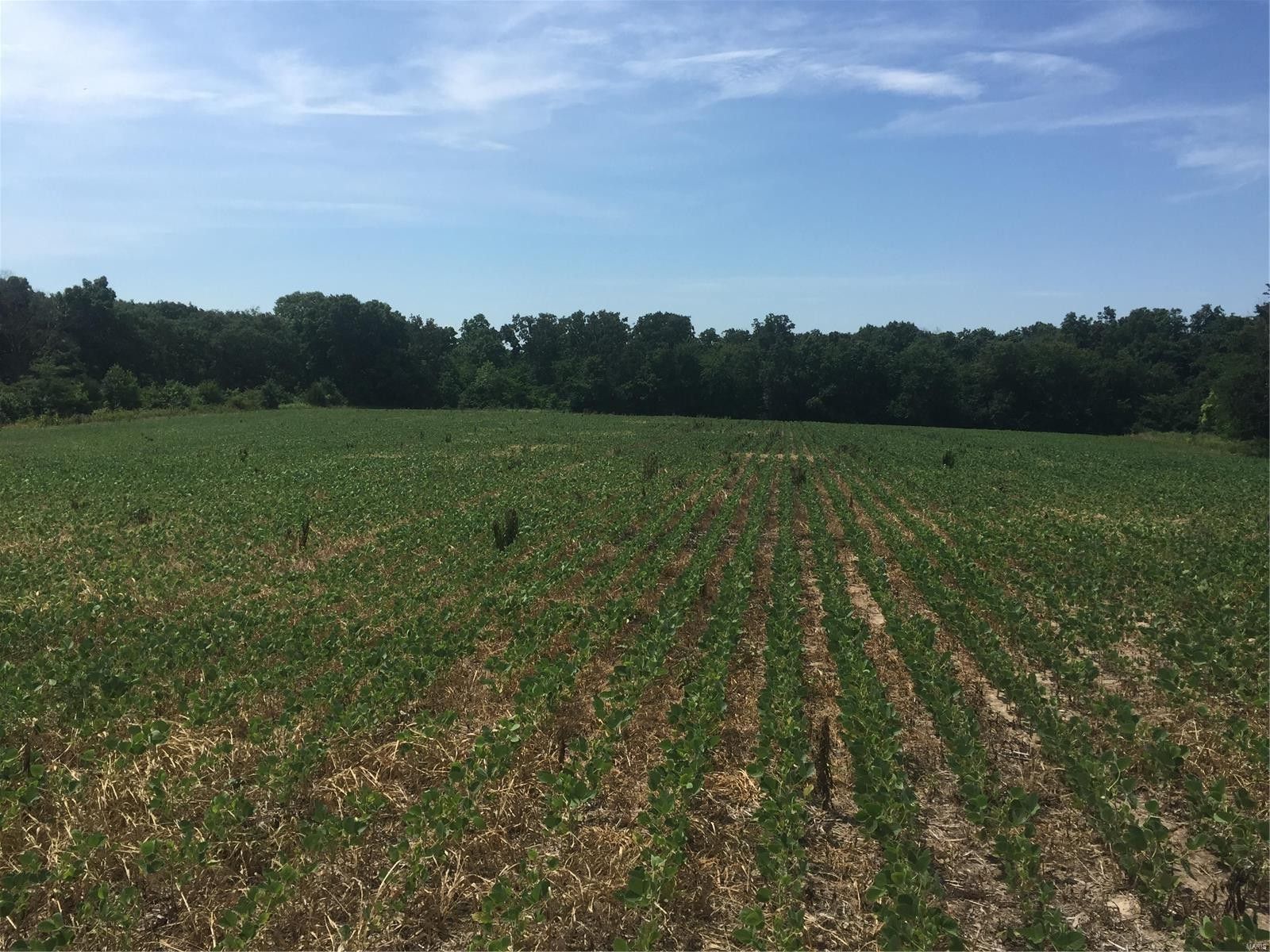 Newark, Knox County, MO Farms and Ranches for sale Property ID