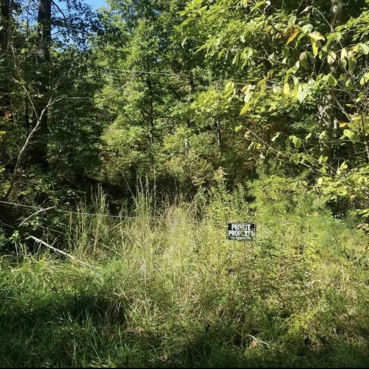 Crab Orchard, Lincoln County, KY Farms and Ranches for sale Property ID