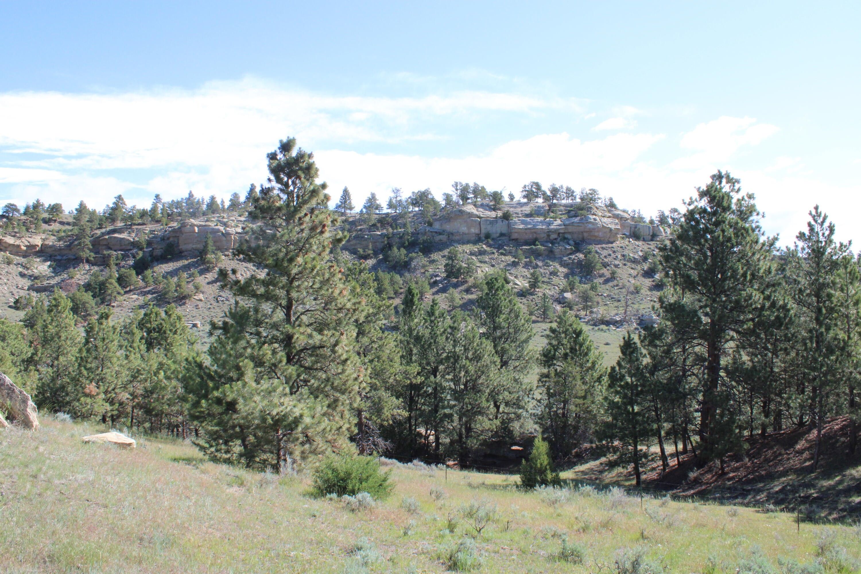 Shawmut, Yellowstone County, MT Undeveloped Land for sale Property ID