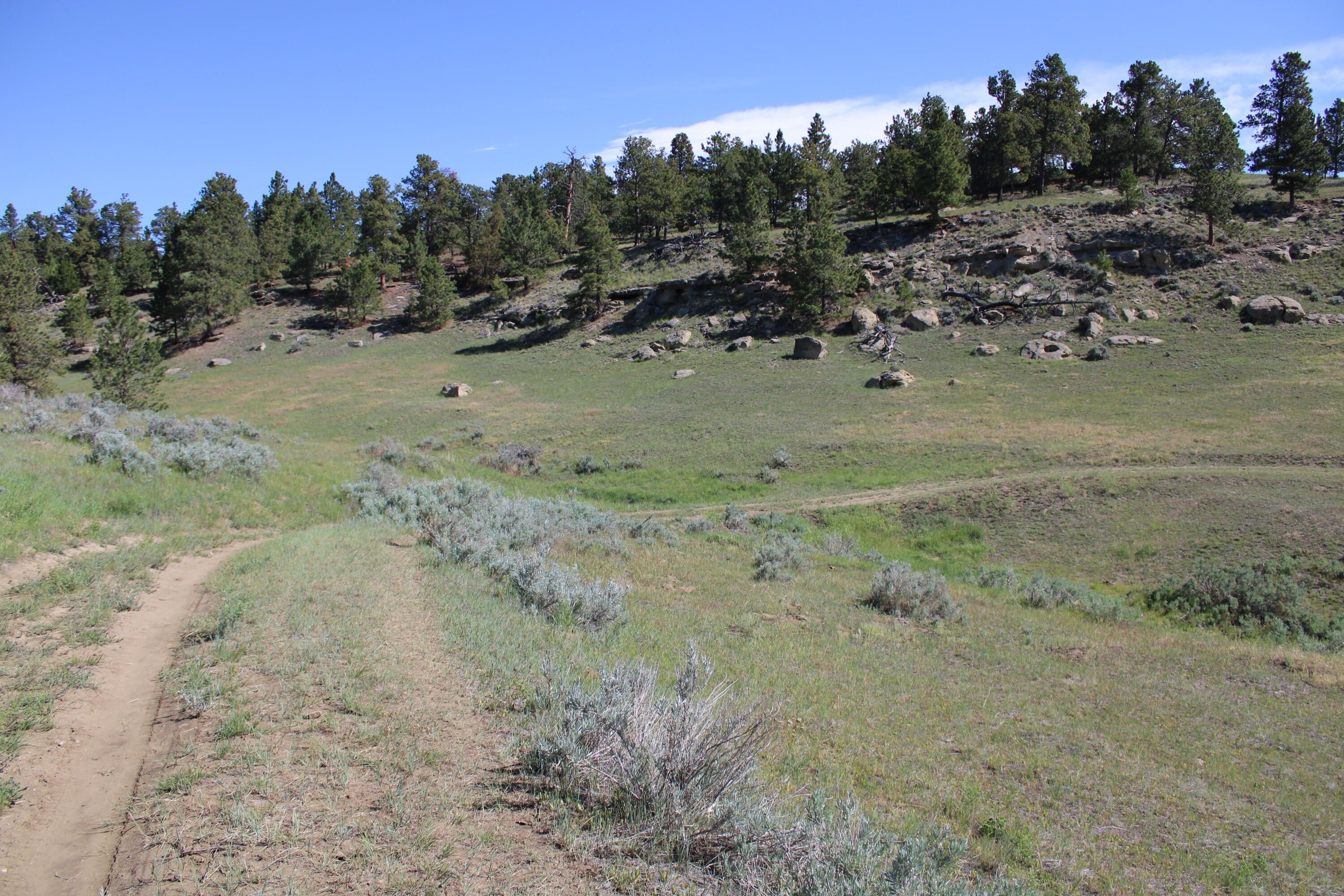 Shawmut, Yellowstone County, MT Undeveloped Land for sale Property ID