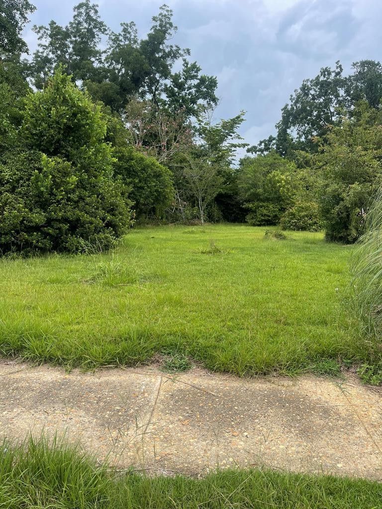 Brundidge, Pike County, AL Undeveloped Land, Homesites for sale