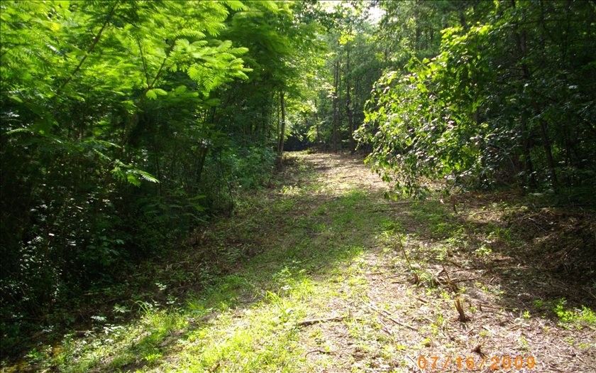 Hayesville, Clay County, NC Undeveloped Land for sale Property ID 332887677 LandWatch