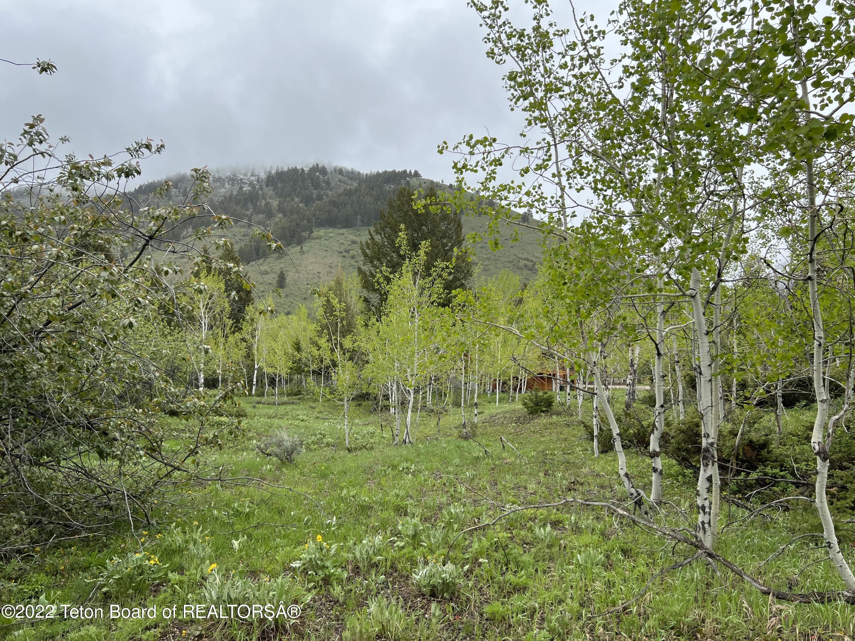 Star Valley Ranch, Lincoln County, WY Undeveloped Land, Homesites for
