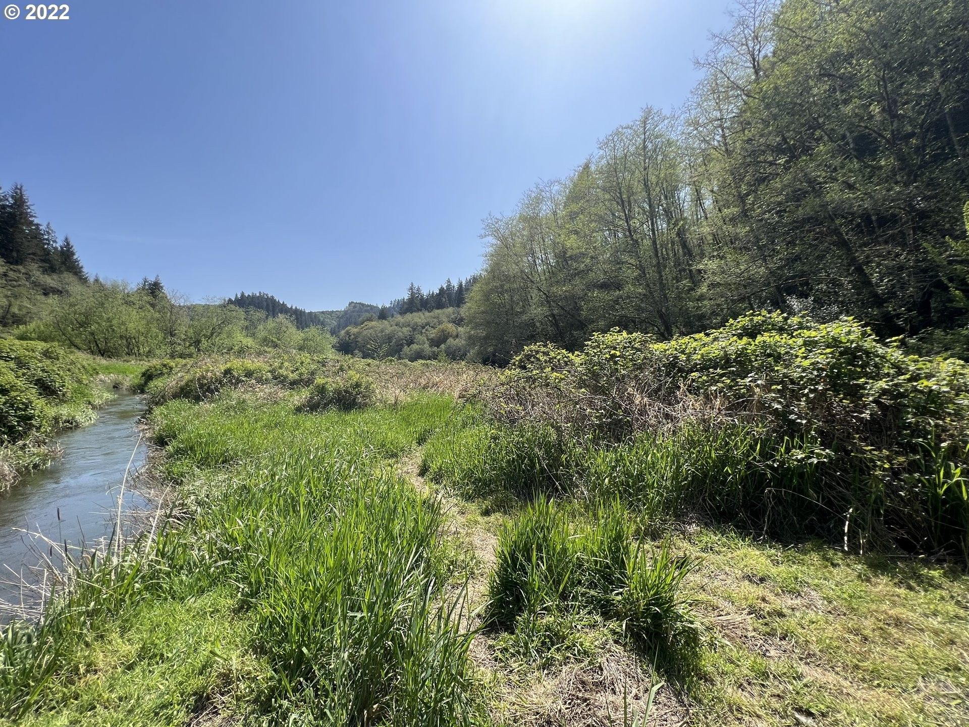 Charleston, Coos County, OR Undeveloped Land for sale Property ID
