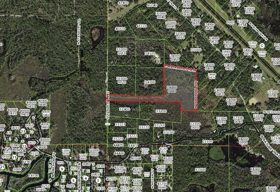 Hernando, Citrus County, FL Undeveloped Land for sale Property ID