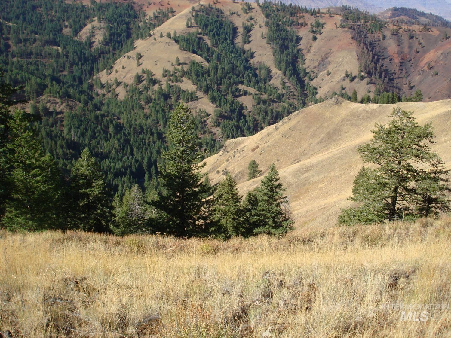 Tbd High Range Rd., Cottonwood, ID 83522 MLS 98844295 LandWatch