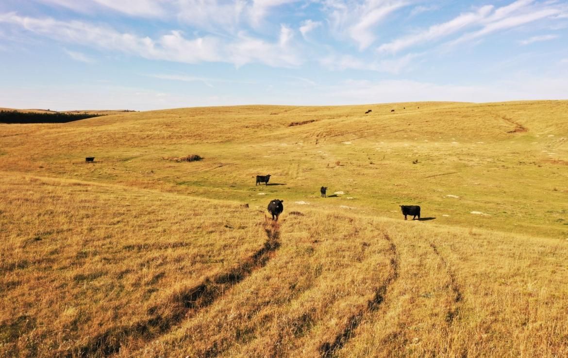 Oconto, Custer County, NE Farms and Ranches, Recreational Property