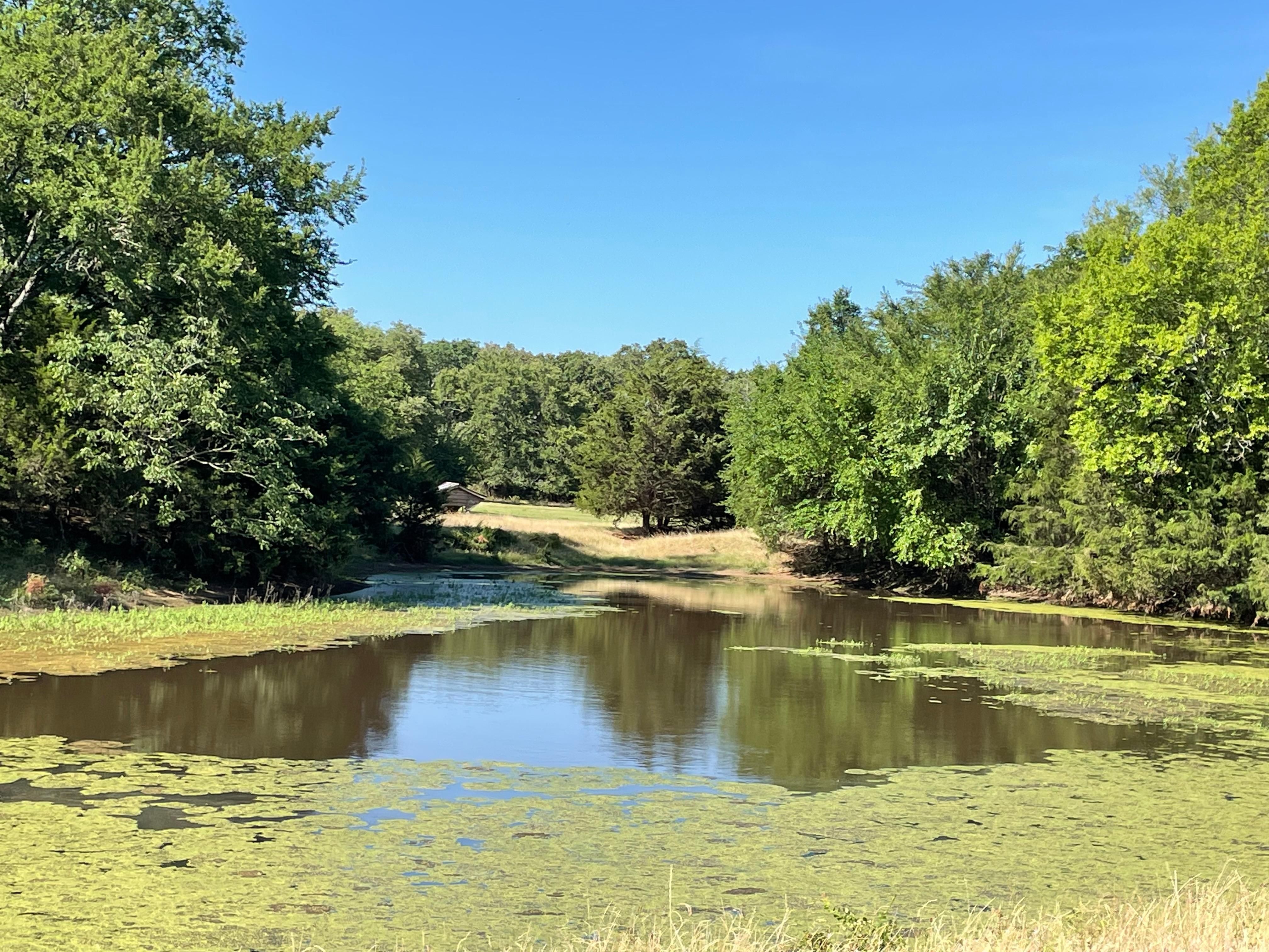 Pickton, Hopkins County, TX Farms and Ranches, Recreational Property