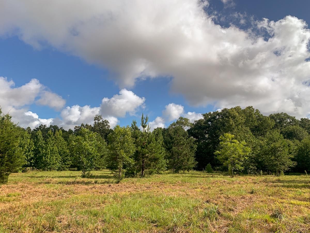 New Waverly, Walker County, TX Farms and Ranches, Recreational Property