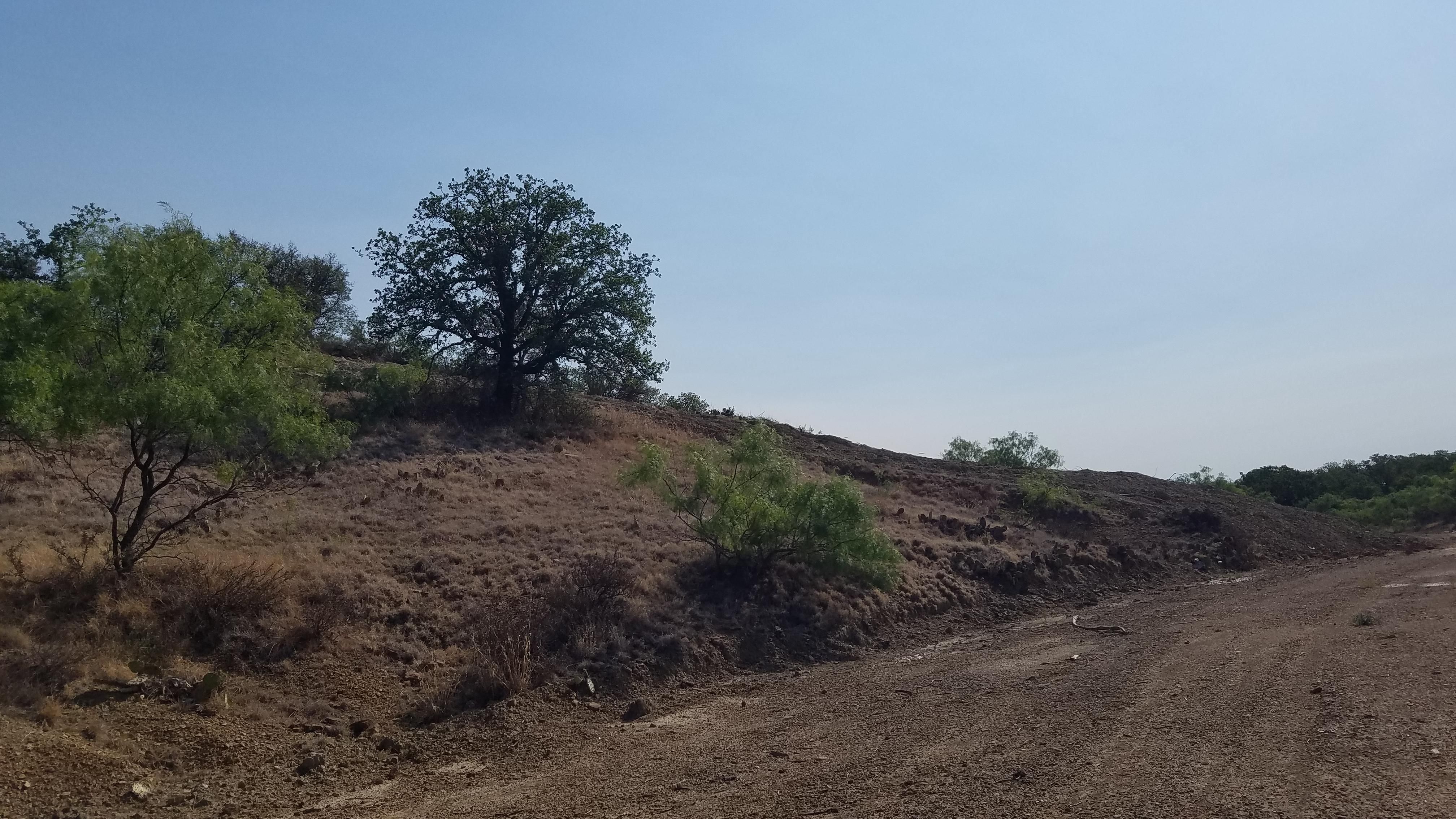 Carbon, Eastland County, TX Farms and Ranches, Hunting Property for