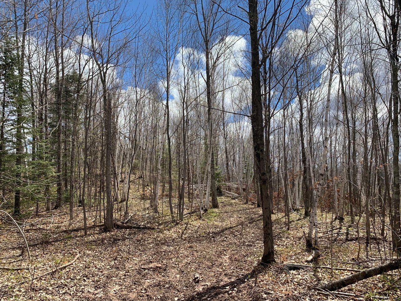 Saxon, Iron County, WI Undeveloped Land for sale Property ID 414209320