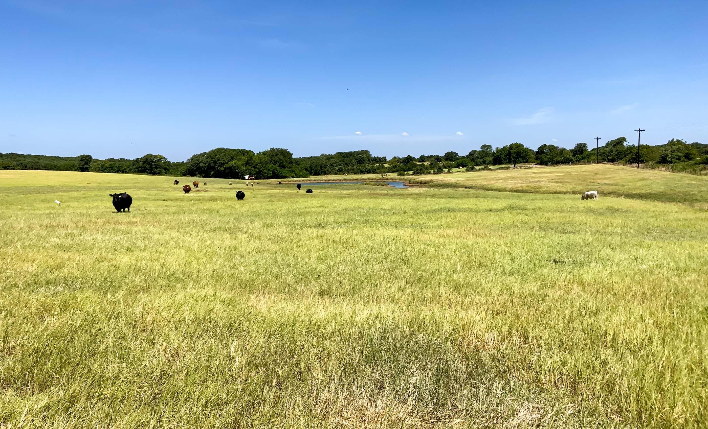 313 acres in Blum, TX, 76627 LandWatch