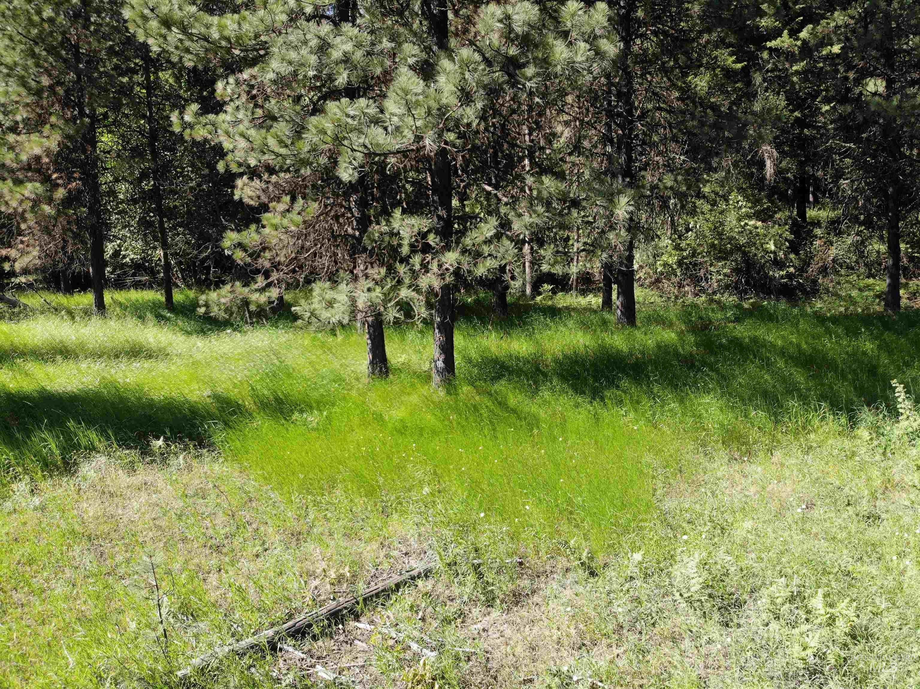 Orofino, Clearwater County, ID Undeveloped Land, Homesites for sale Property ID 414210481